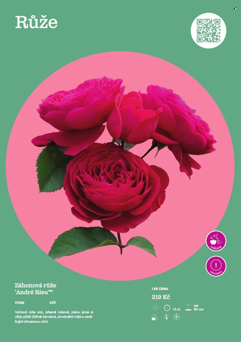 STARKL leták - Starkl (2026-02-25)