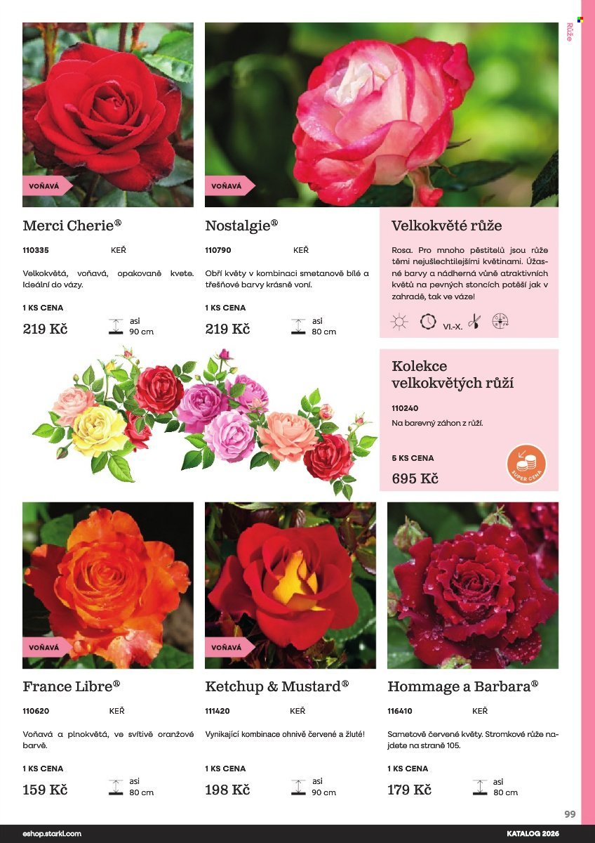 STARKL leták - Starkl (2026-02-25)