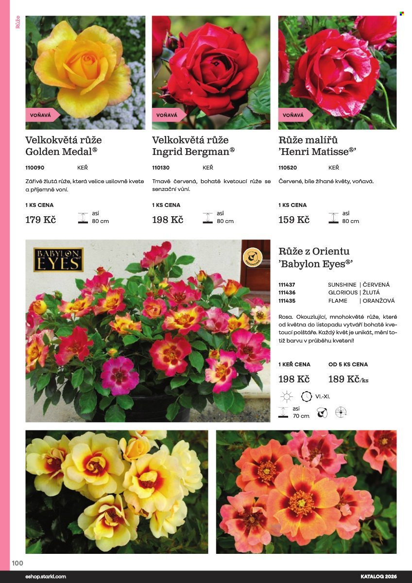 STARKL leták - Starkl (2026-02-25)