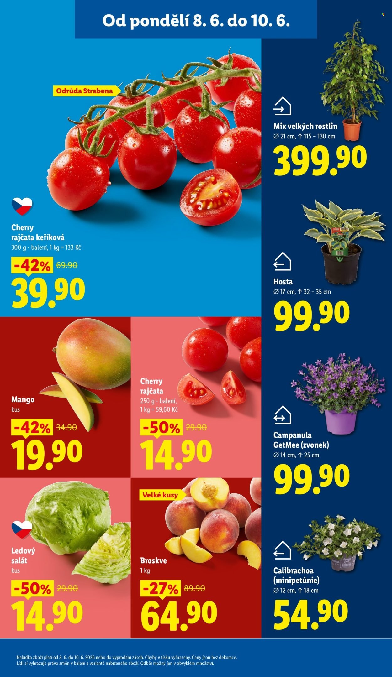 LIDL leták - Od pondělí 8.6.2026