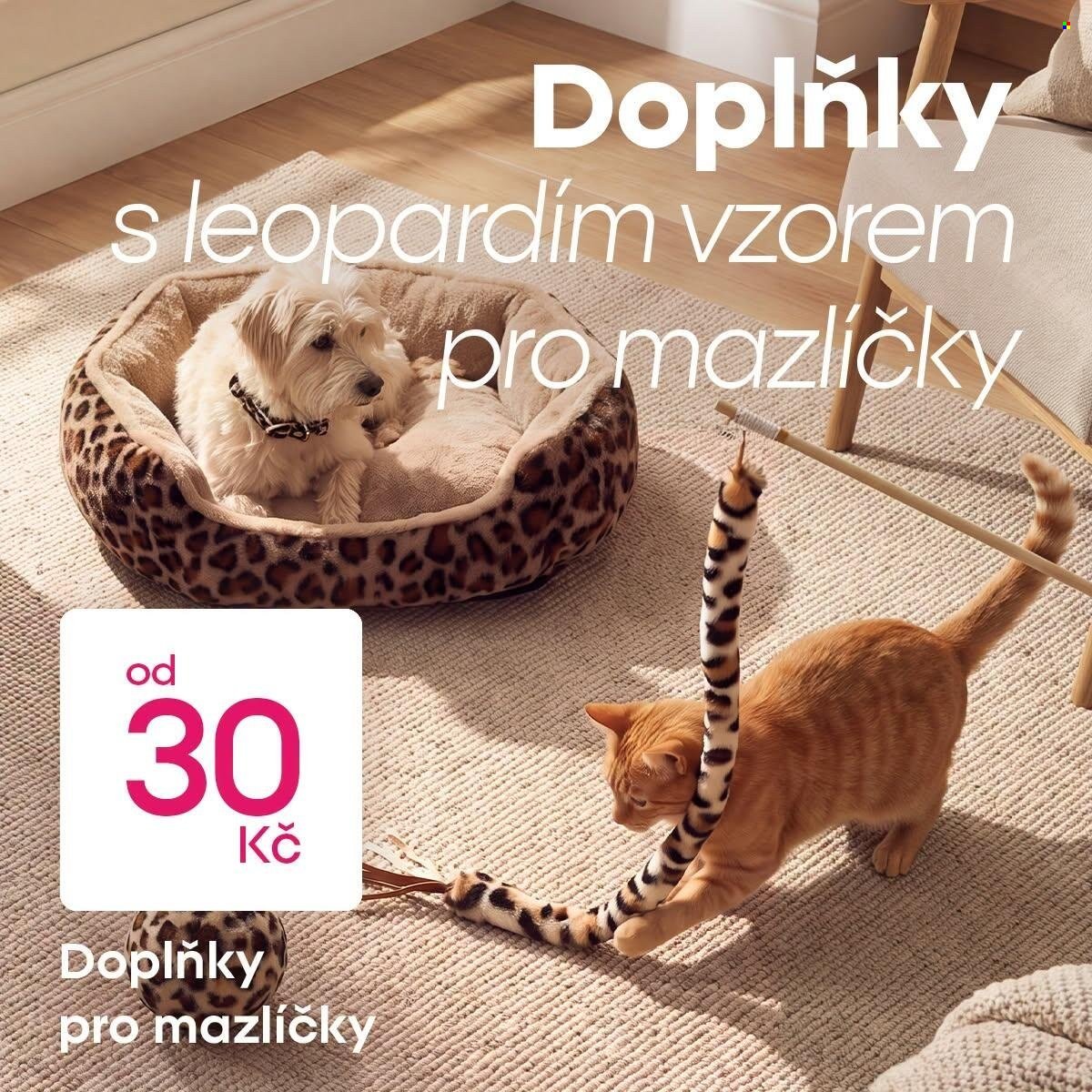 PEPCO leták - Objevte novinky v Pepco!