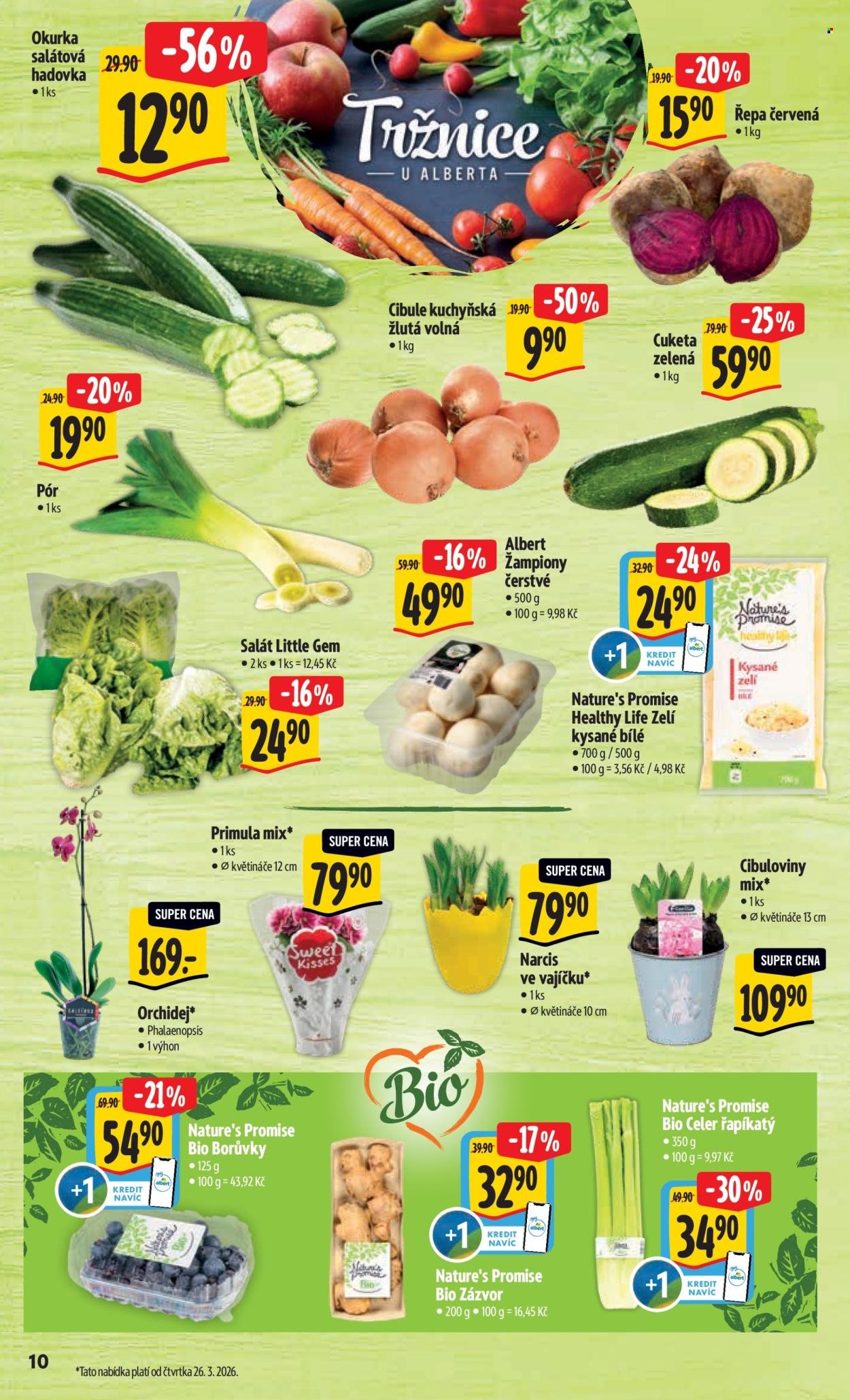 ALBERT leták - Neporazitelné (2026-03-25 - 2026-03-31)