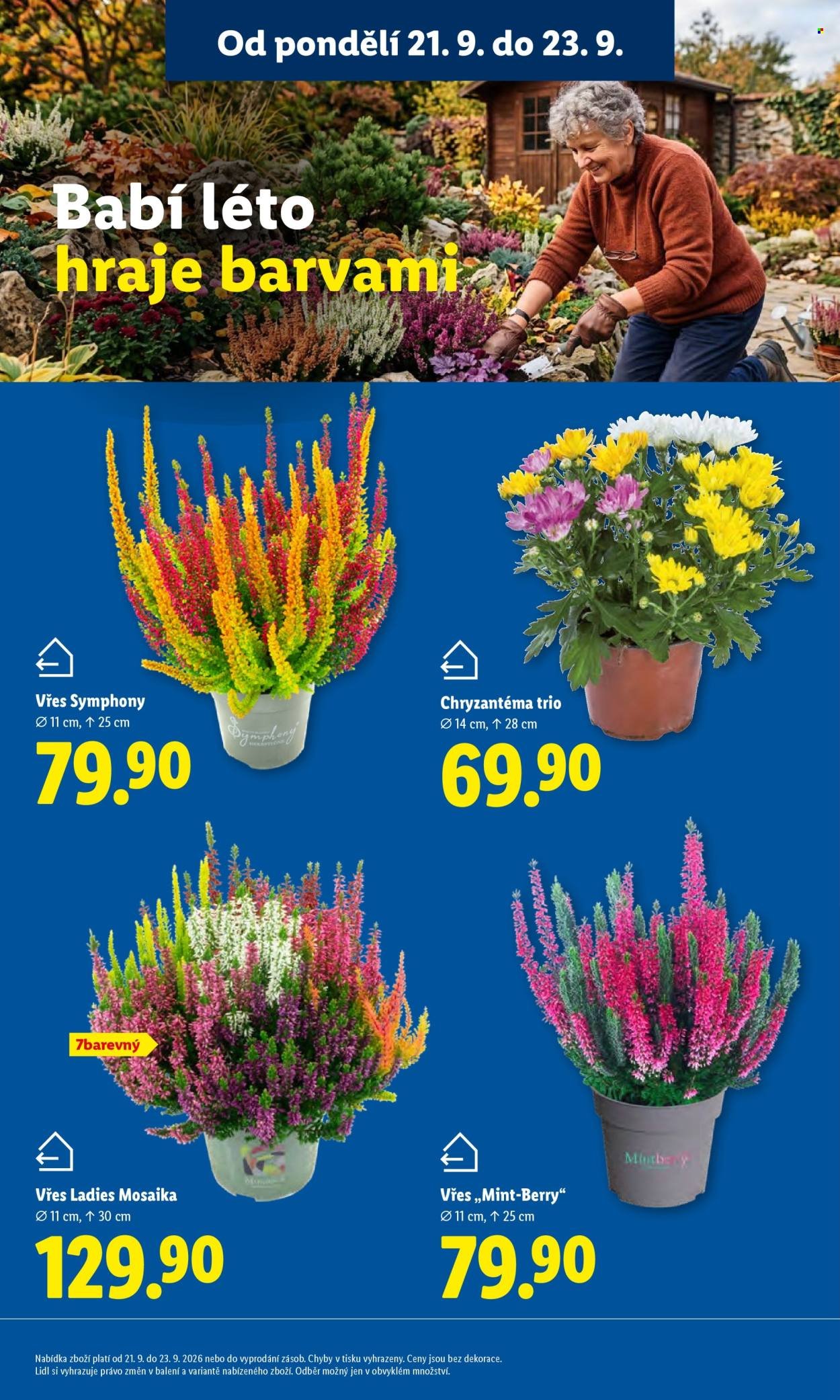 LIDL leták - Od pondělí 21.9.2026