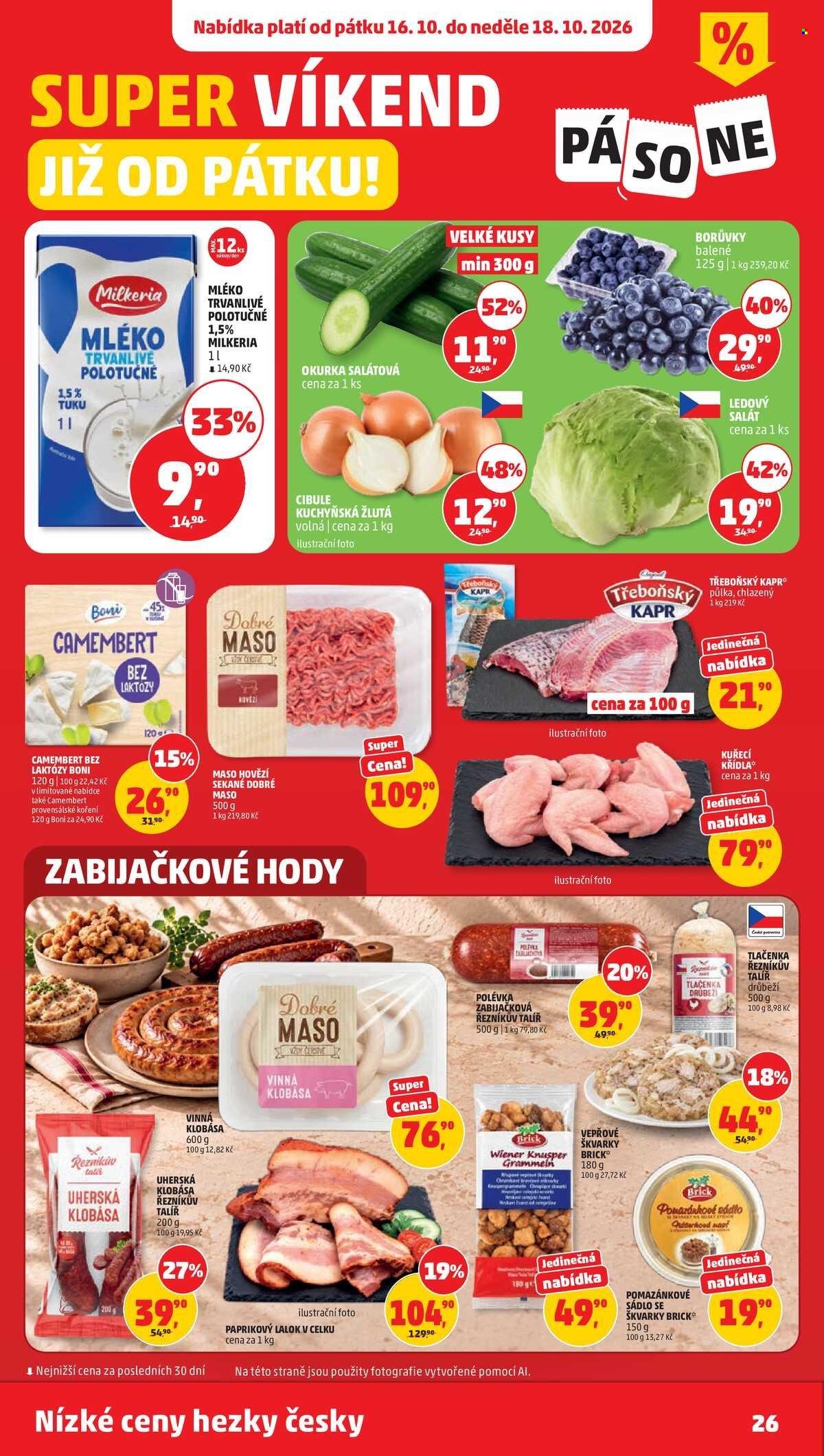 PENNY leták - nízké ceny hezky česky