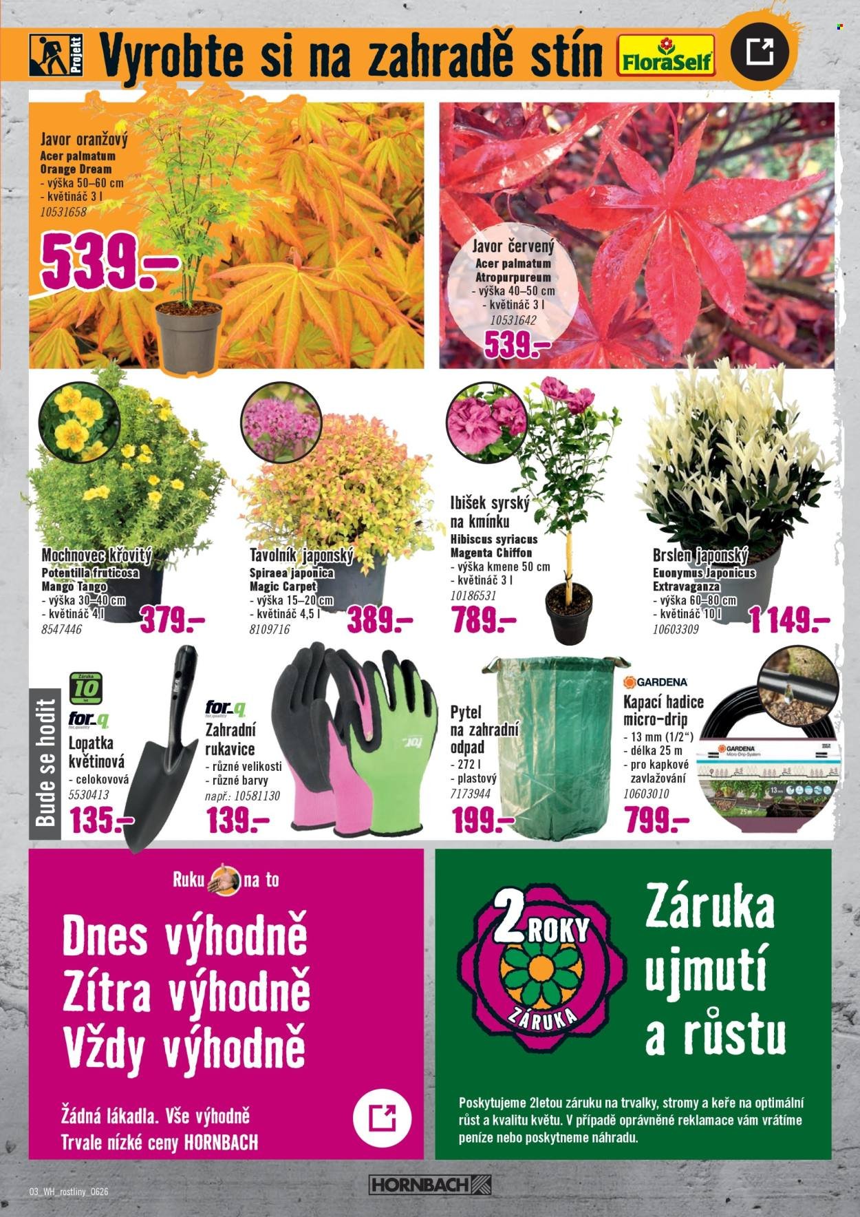 HORNBACH leták - Váš další projekt - Venkovní rostliny