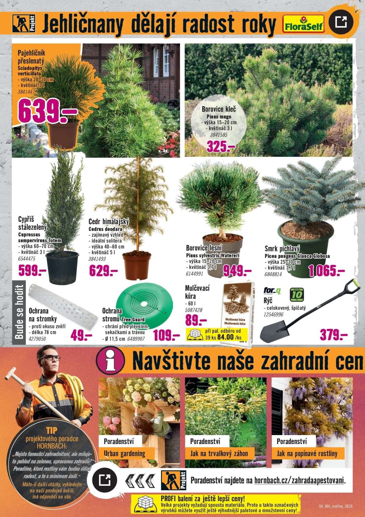 HORNBACH leták - Váš další projekt - Venkovní rostliny