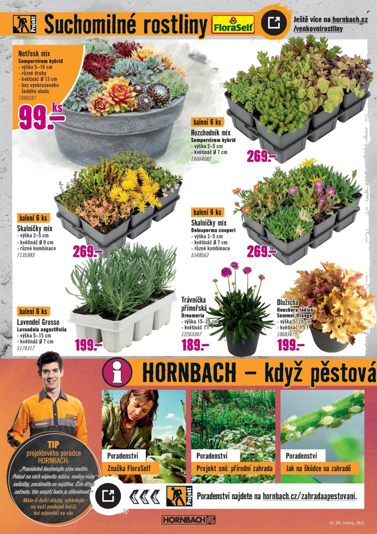 HORNBACH leták - Váš další projekt - Venkovní rostliny