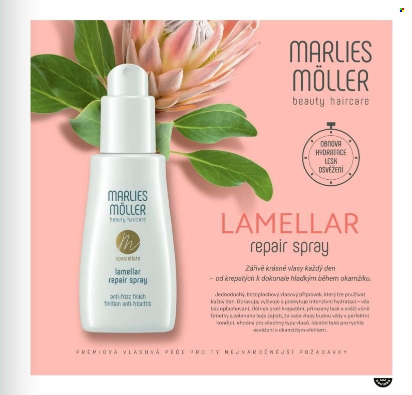 FANN PARFUMERIE leták - Od soboty 1.11.2025 (2025-11-01 - 2025-12-31)