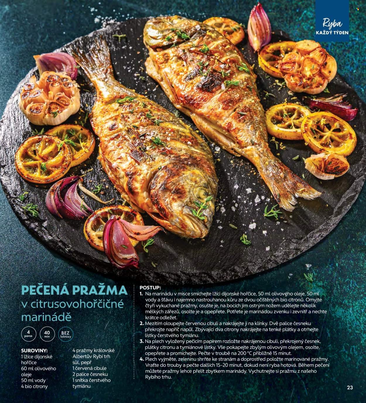 ALBERT leták - Magazín (2026-01-07 - 2026-02-03)