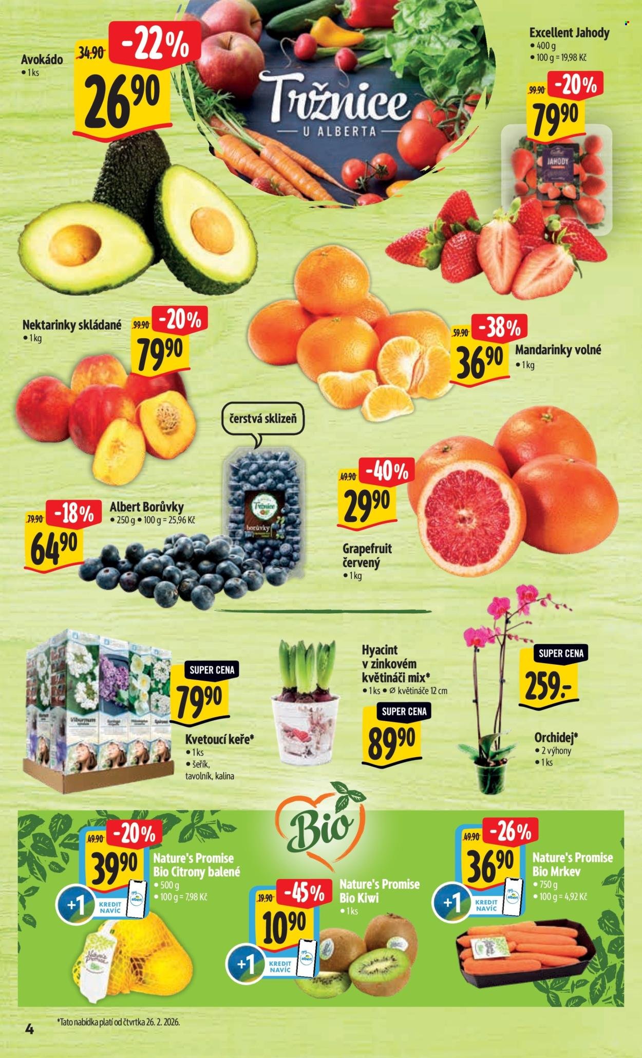 ALBERT leták - Neporazitelné (2026-02-25 - 2026-03-03)