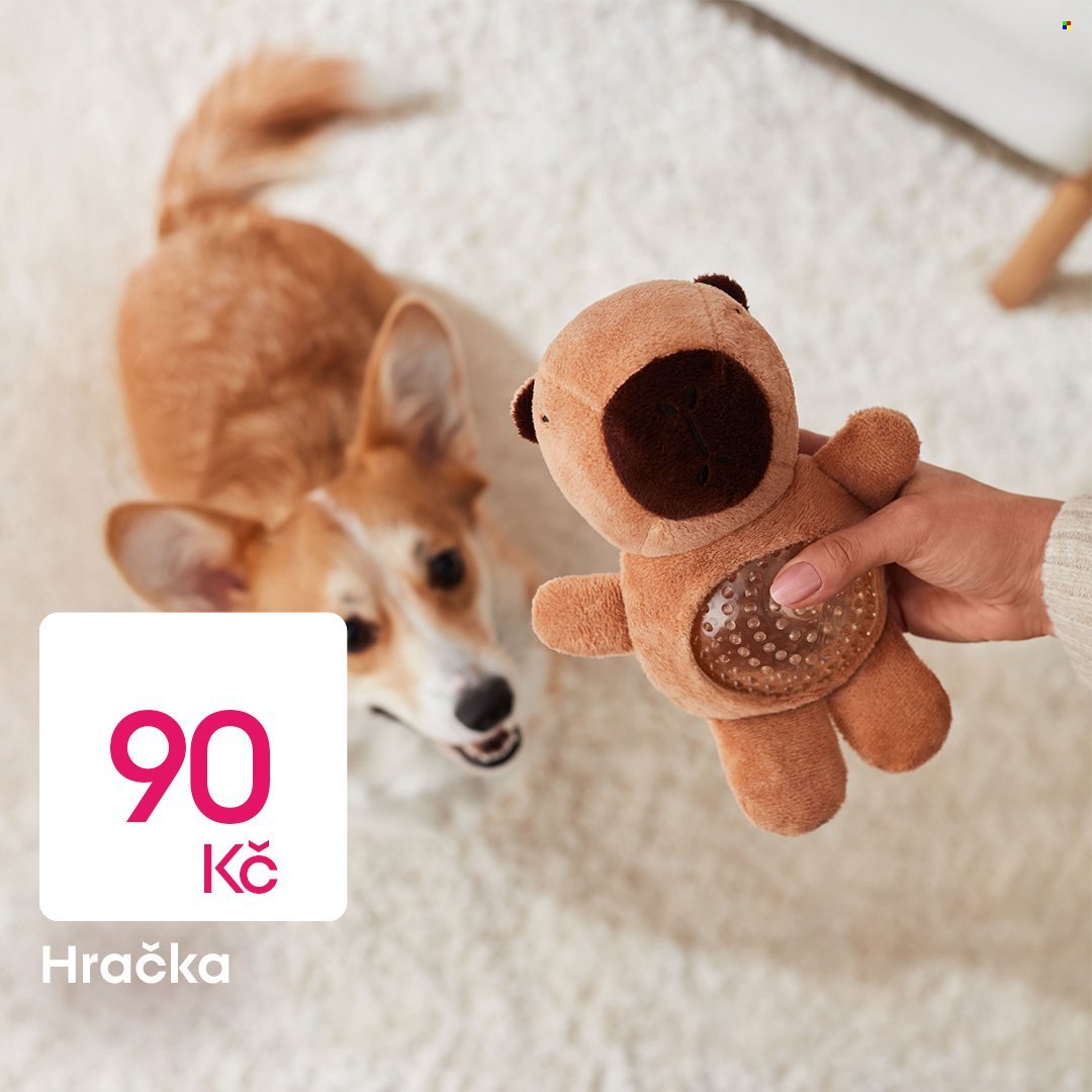 PEPCO leták - Novinky pro pejskaře (2026-01-12)