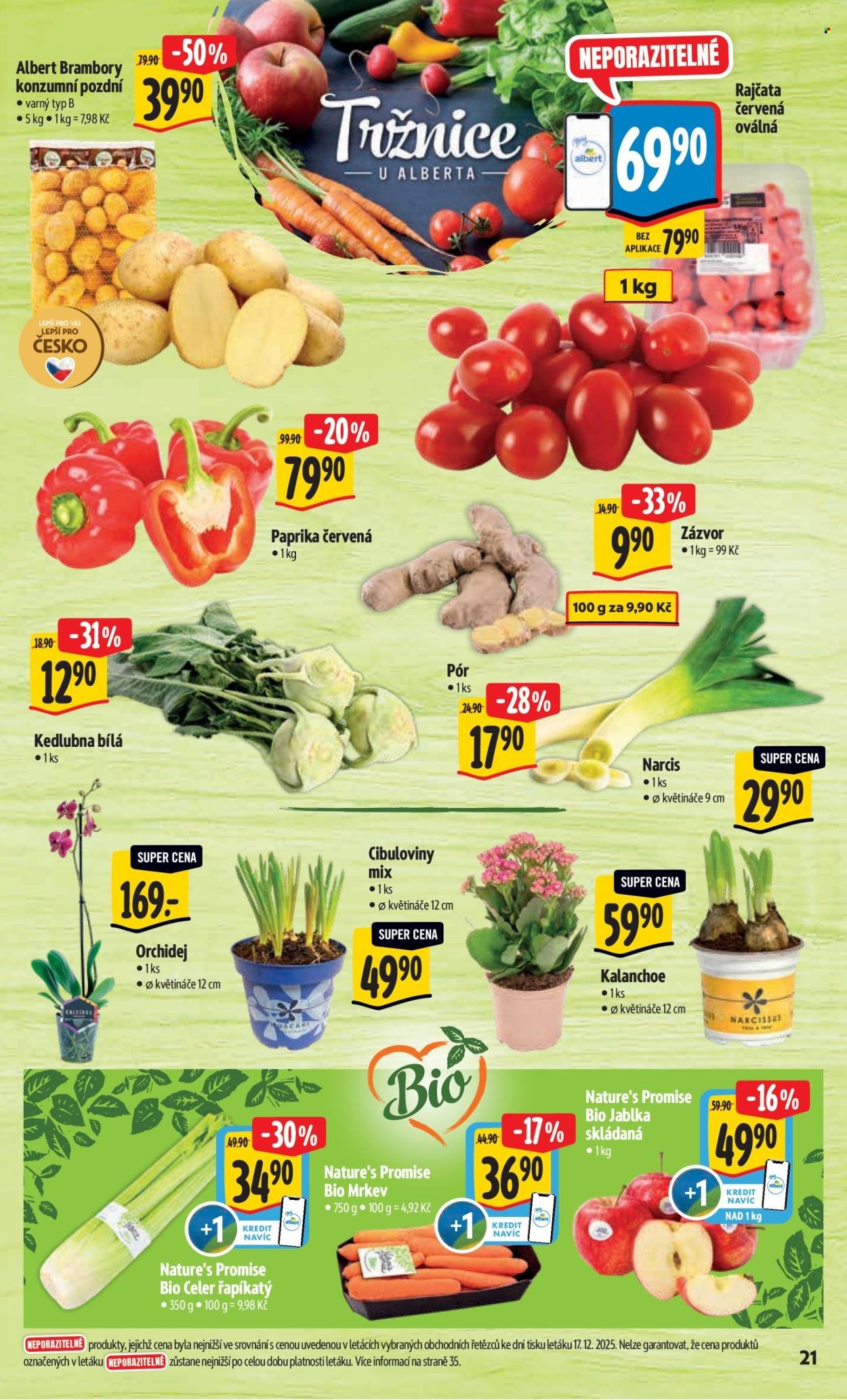 ALBERT leták - Neporazitelné (2026-01-02 - 2026-01-06)