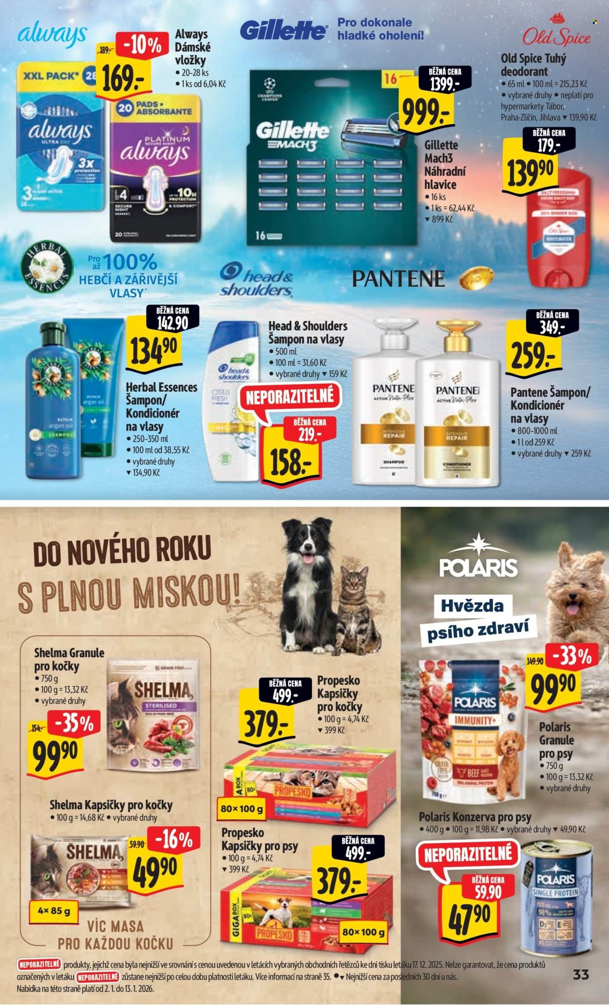 ALBERT leták - Neporazitelné (2026-01-02 - 2026-01-06)