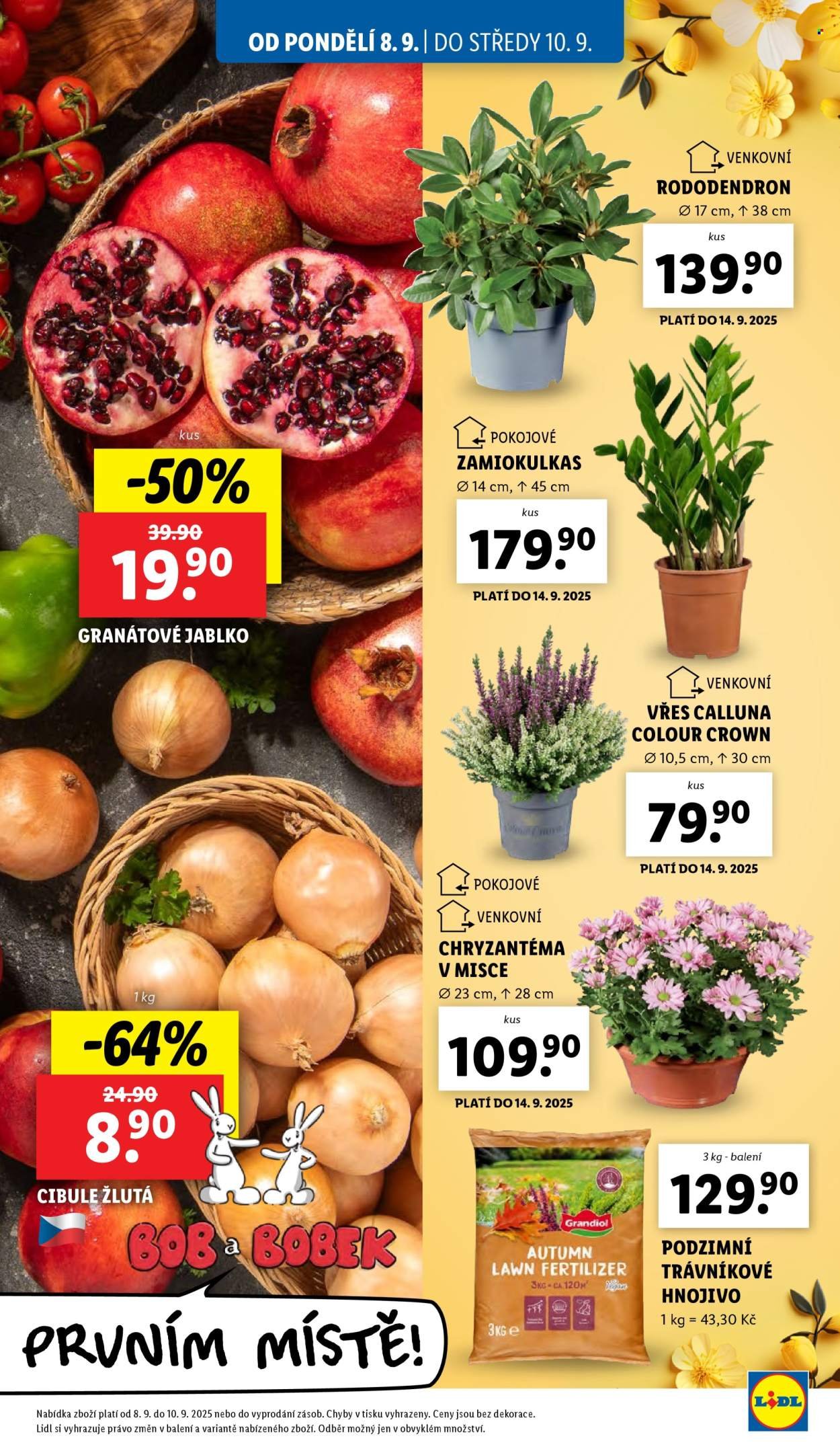 LIDL leták - Od pondělí 8.9.2025 (2025-09-08 - 2025-09-10)