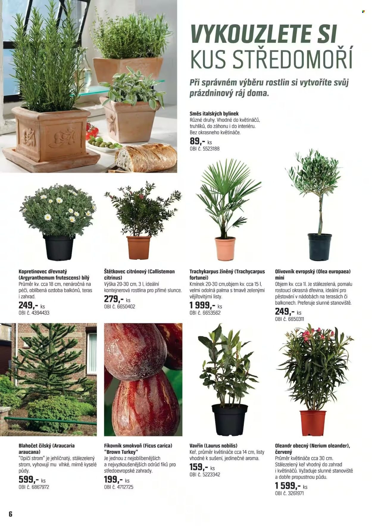 OBI leták - Dokážete cokoliv na své zahradě (2026-04-15 - 2026-05-14)