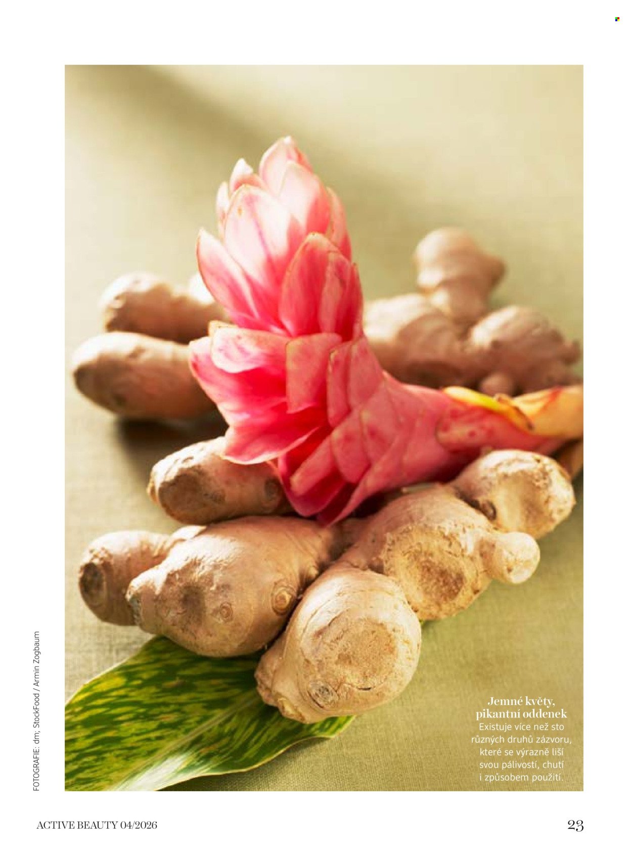 DM DROGERIE leták - Active Beauty (2026-04-10 - 2026-05-06)