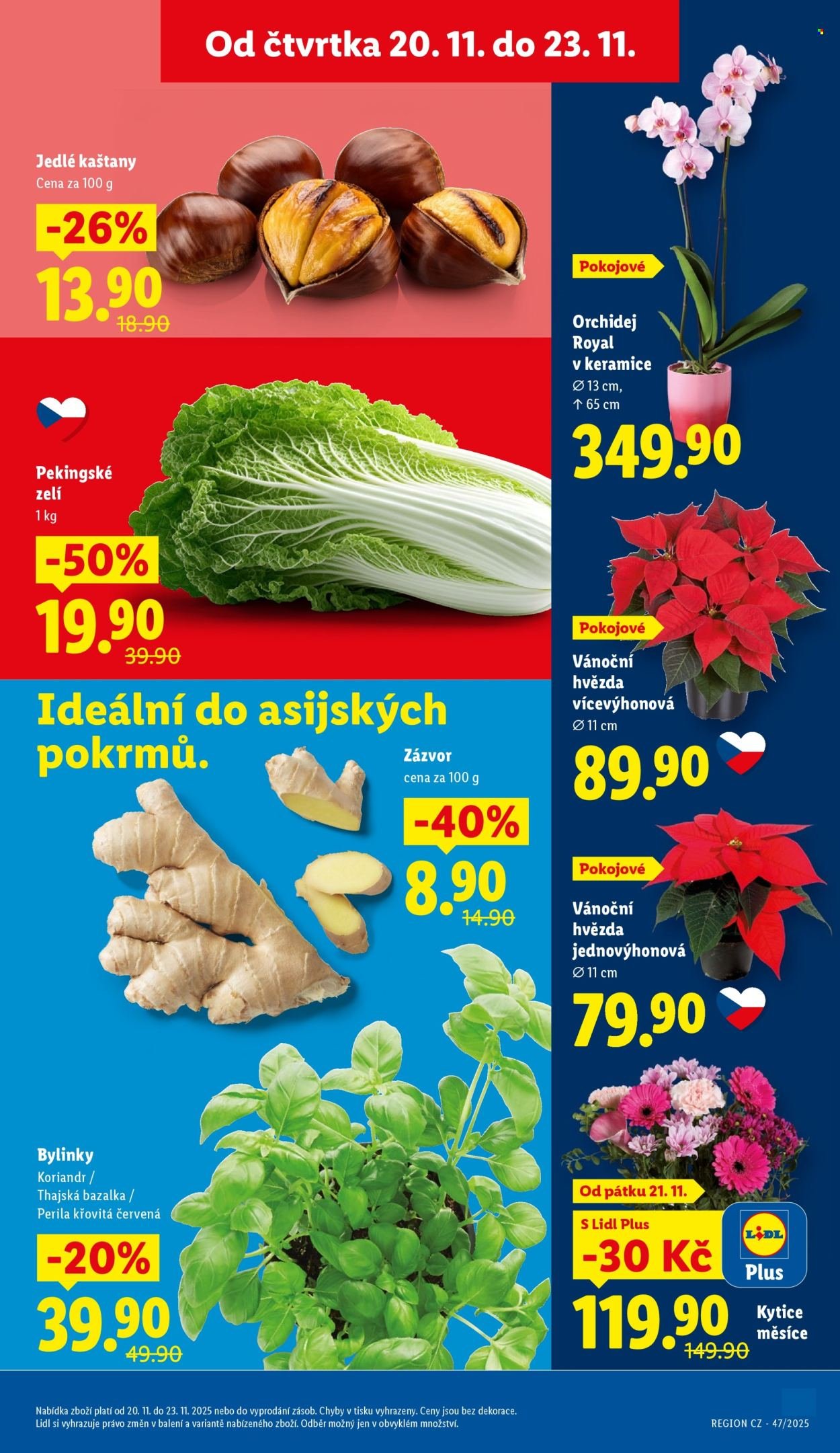 LIDL leták - Od čtvrtka 20.11.2025 (2025-11-20 - 2025-11-23)