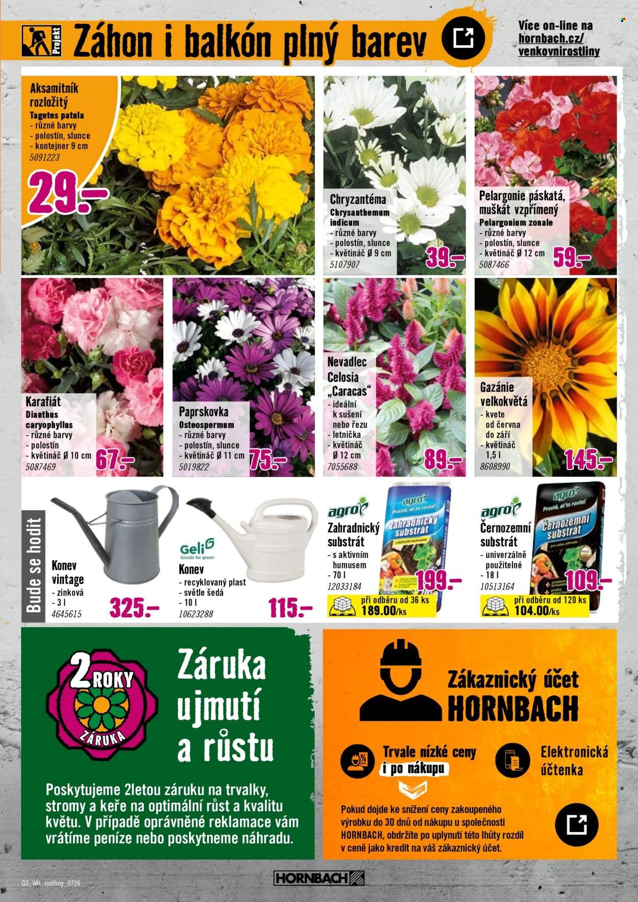 HORNBACH leták - Váš další projekt - Letničky
