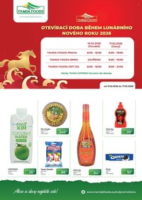TAMDA FOODS leták - Od středy 11.2.2026 (2026-02-11 - 2026-02-17)