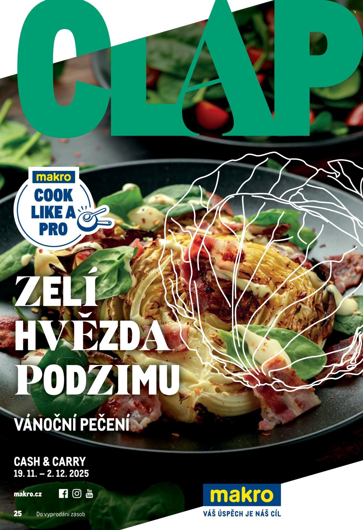 MAKRO leták - Pro milovníky jídla (2025-11-19 - 2025-12-02)