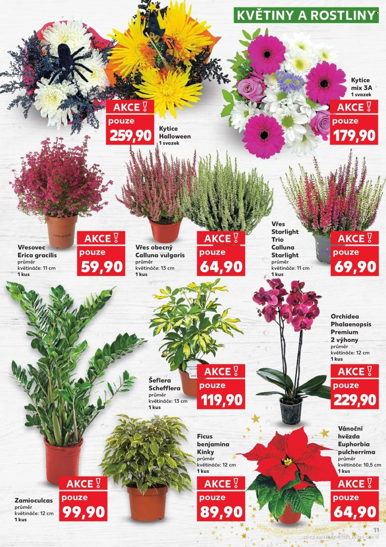 KAUFLAND leták - Od středy 29.10.2025 (2025-10-29 - 2025-11-04)