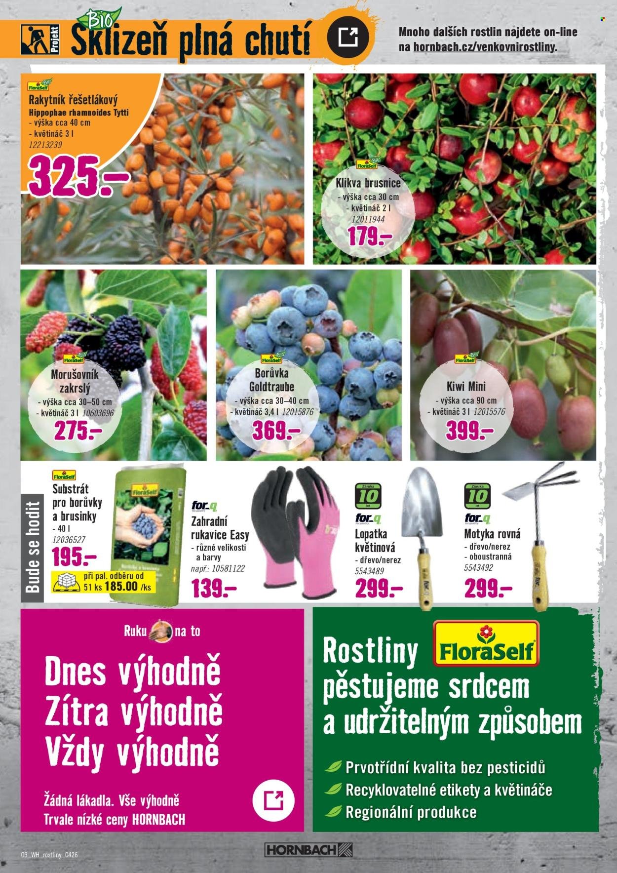 HORNBACH leták - Váš další projekt - Sezónní rostliny (2026-04-01 - 2026-04-14)