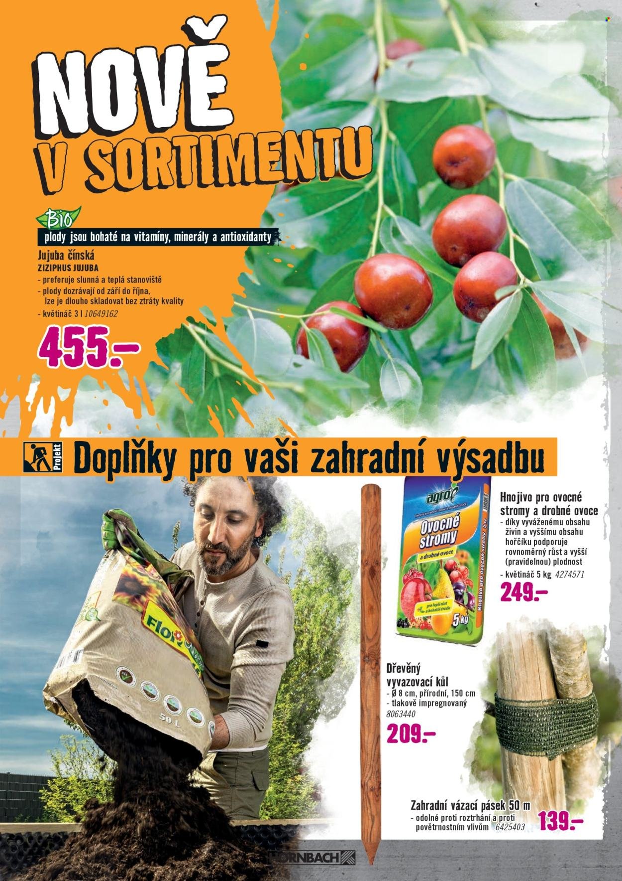 HORNBACH leták - Váš další projekt - Sezónní rostliny (2026-04-01 - 2026-04-14)
