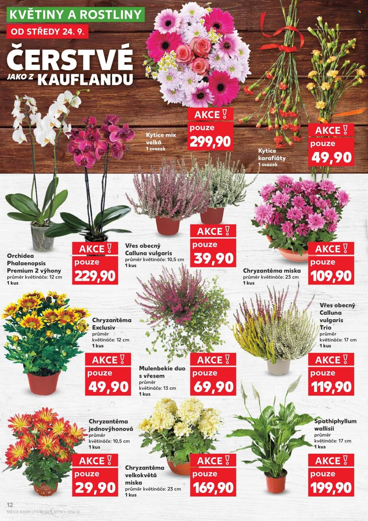KAUFLAND leták - Od středy 24.9.2025 (2025-09-24 - 2025-09-30)