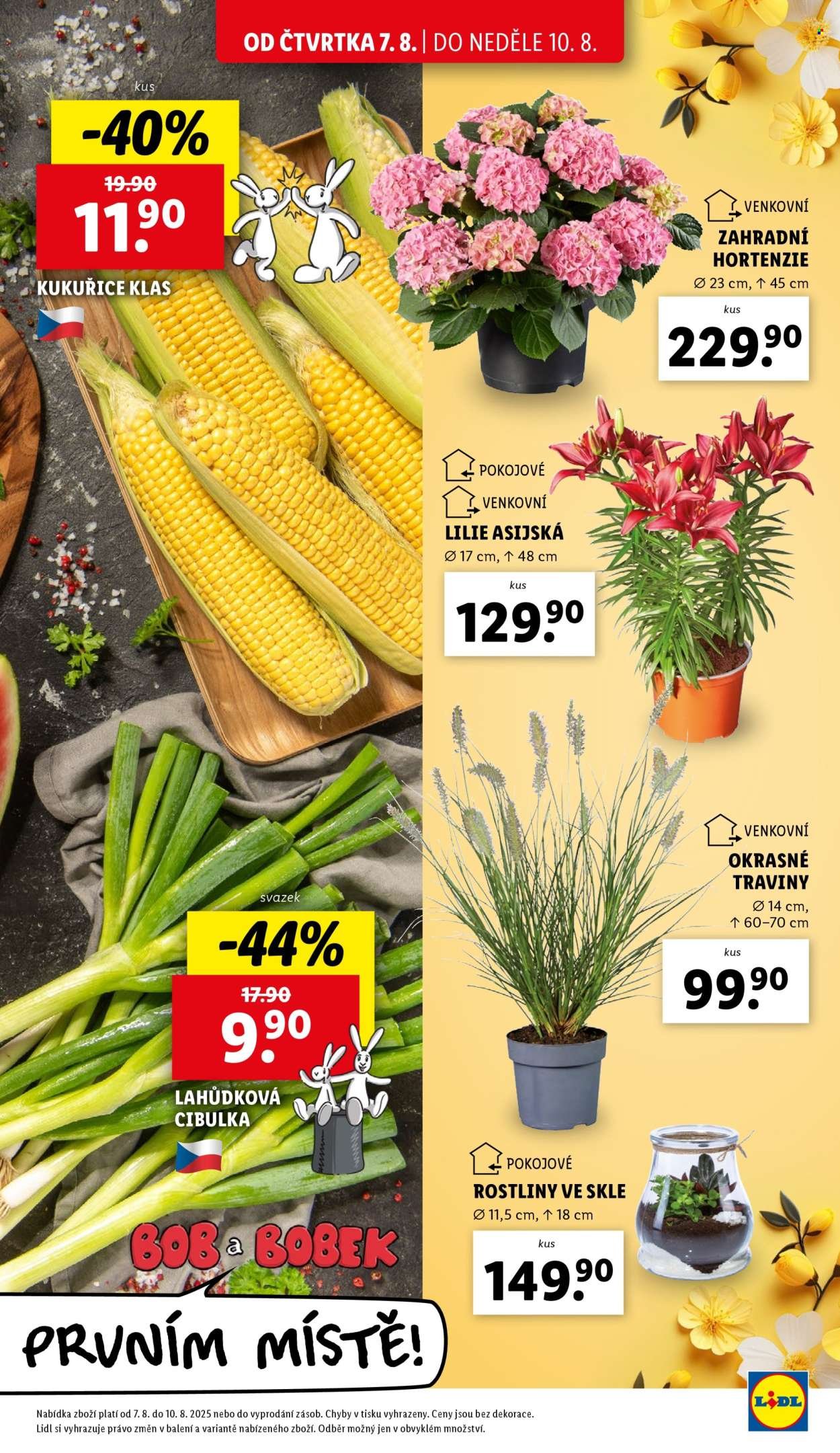 LIDL leták - Od čtvrtka 7.8.2025 (2025-08-07 - 2025-08-10)