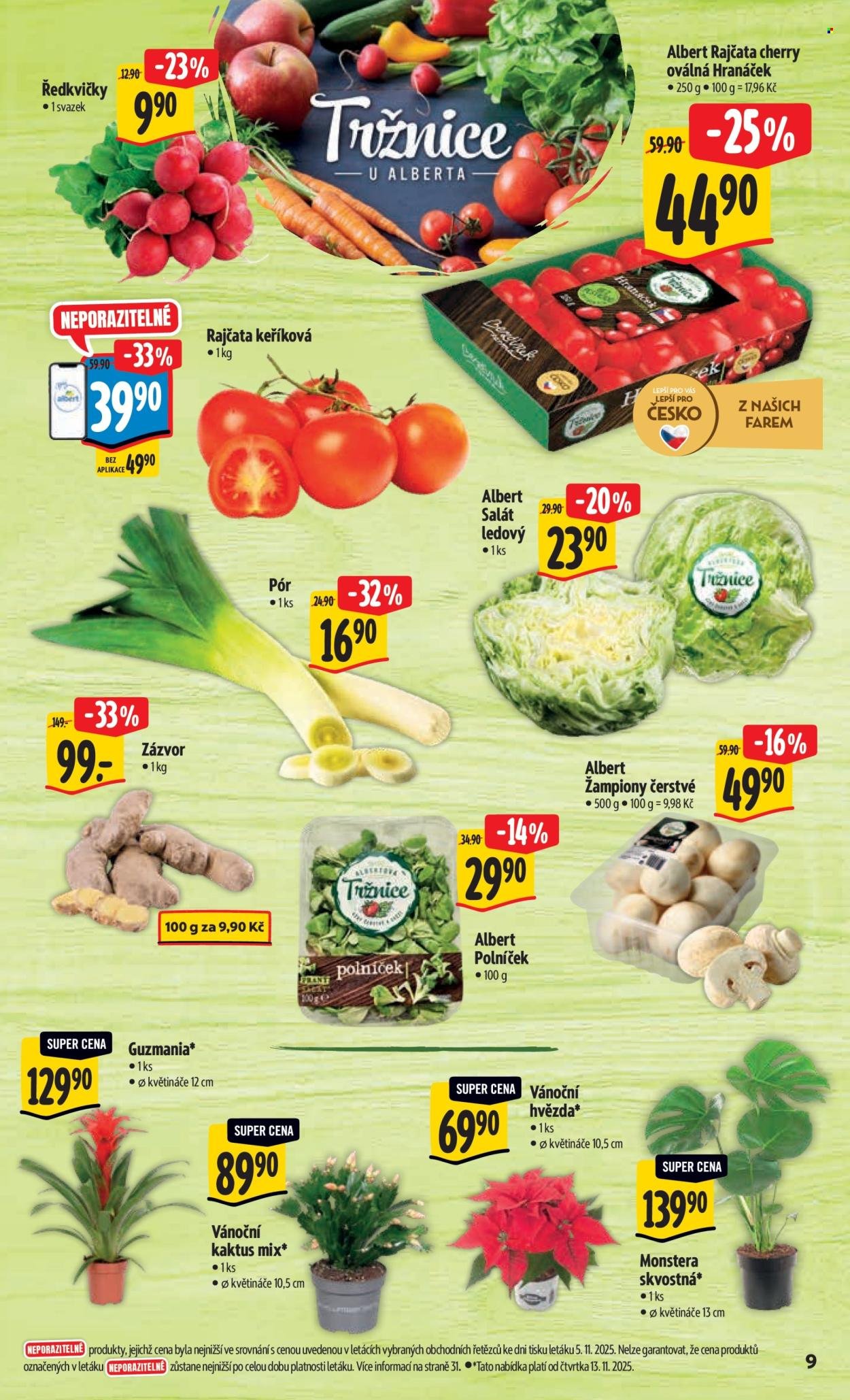 ALBERT leták - Neporazitelné (2025-11-12 - 2025-11-18)