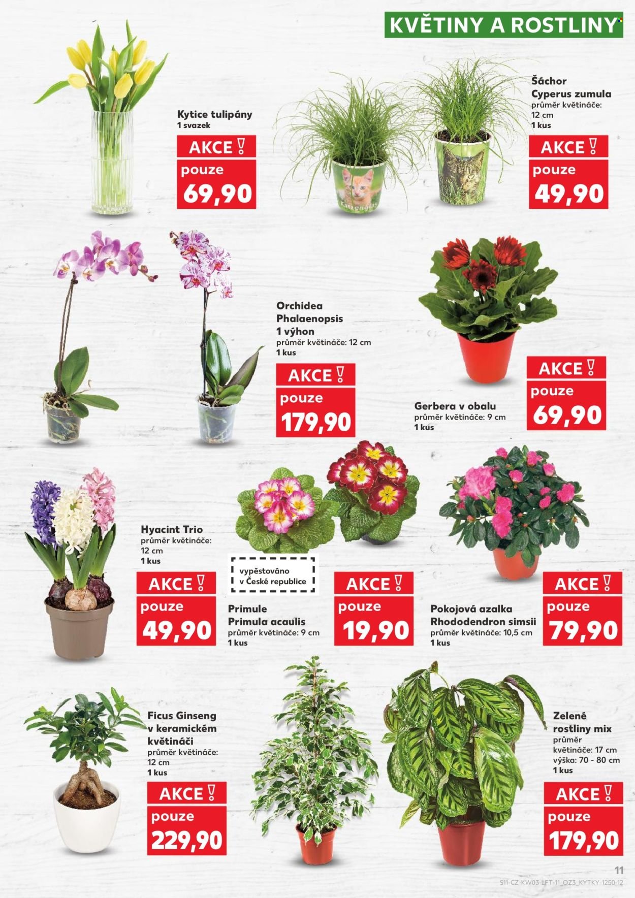 KAUFLAND leták - Od středy 14.1.2026 (2026-01-14 - 2026-01-20)