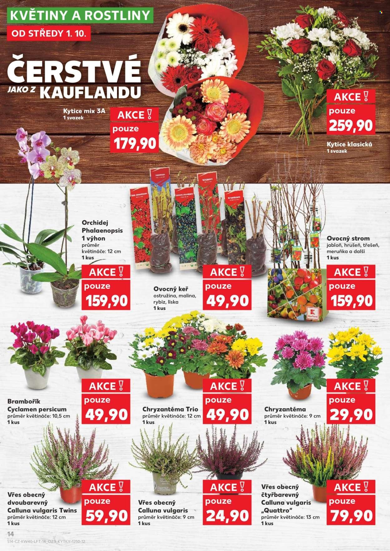 KAUFLAND leták - Od středy 1.10.2025 (2025-10-01 - 2025-10-07)