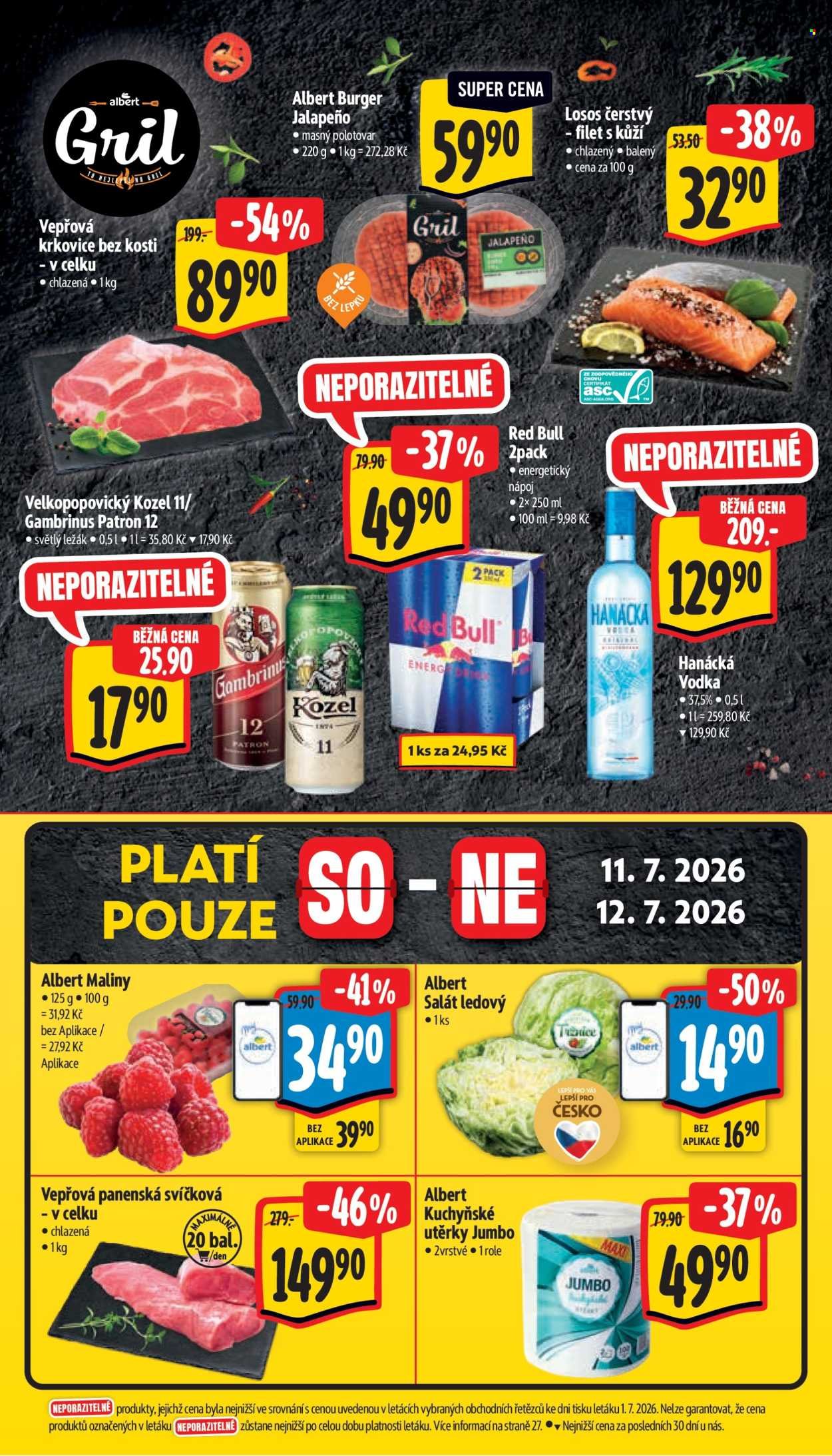 ALBERT leták - Neporazitelné