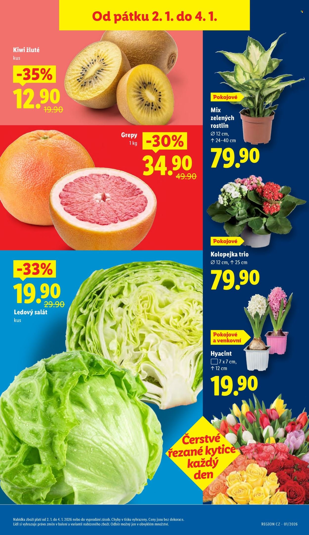 LIDL leták - Od pátku 2.1.2026 (2026-01-02 - 2026-01-04)