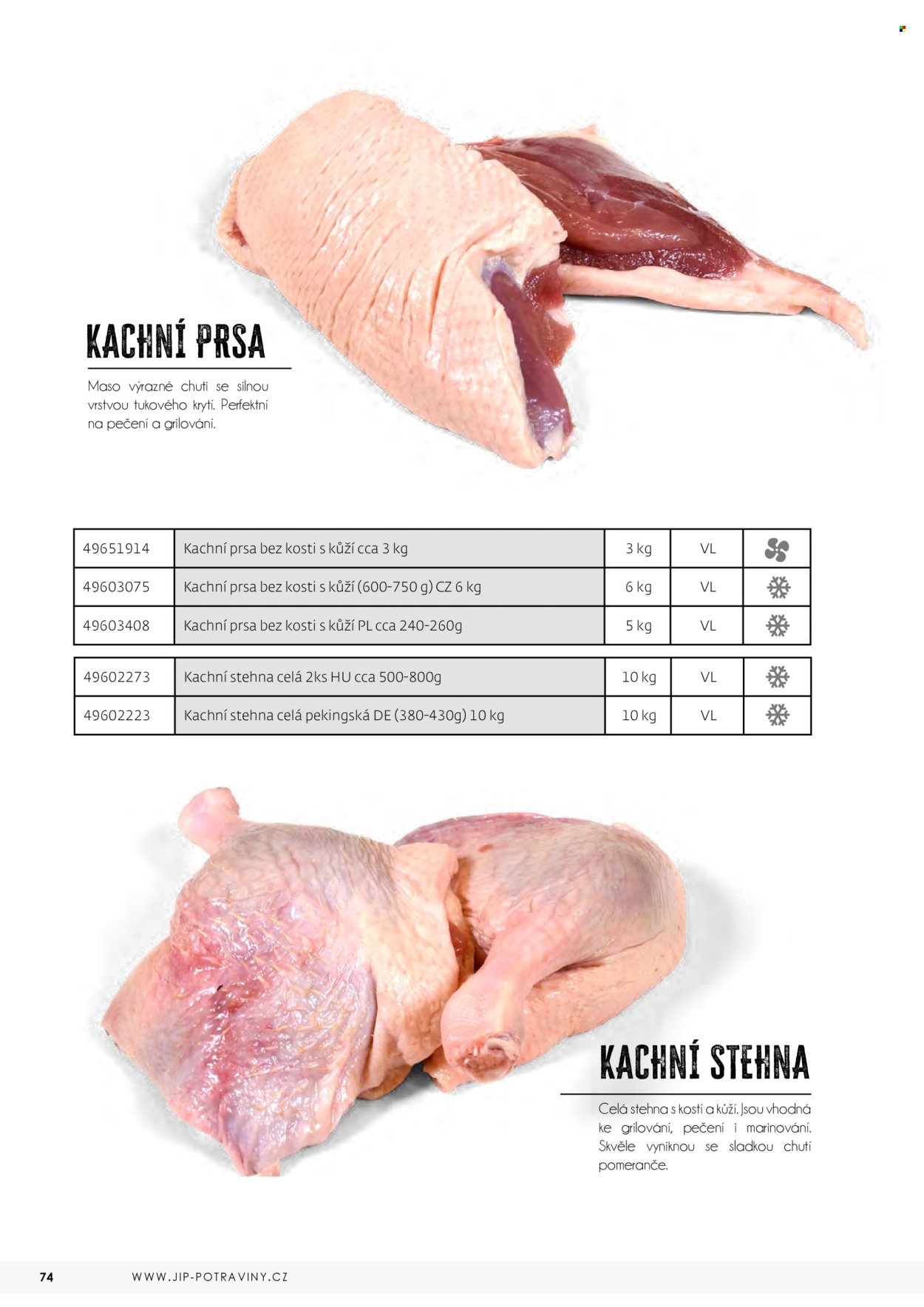 JIP leták - Maso (2026-04-23)