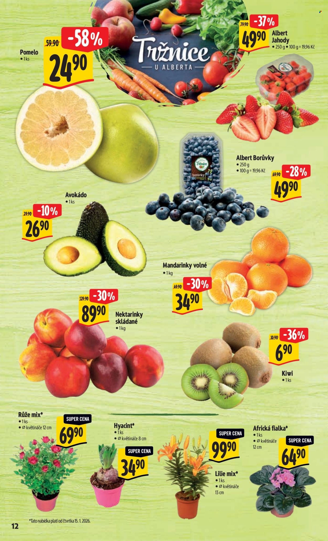 ALBERT leták - Neporazitelné (2026-01-14 - 2026-01-20)