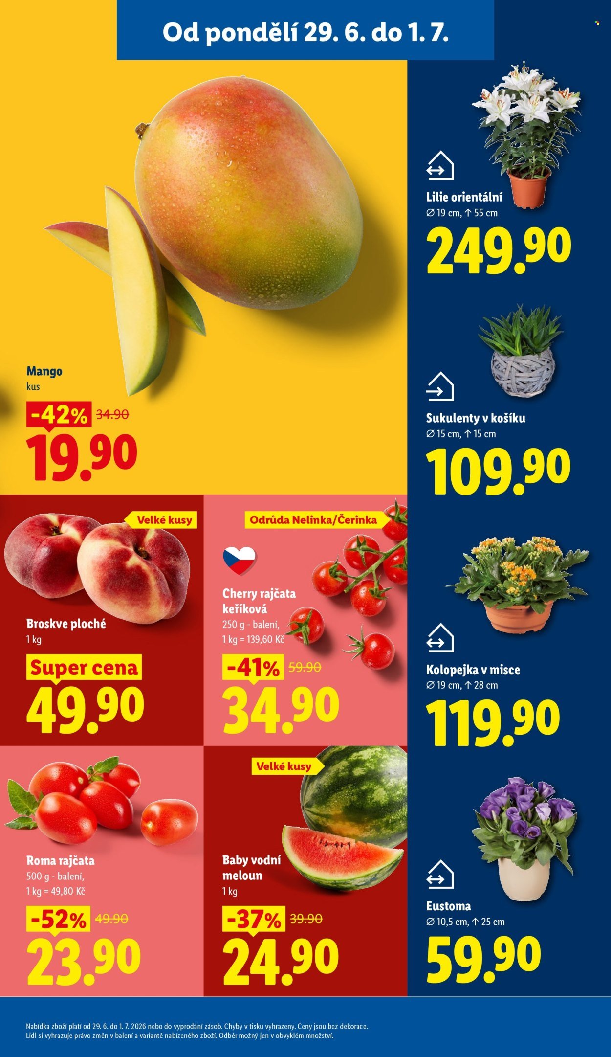 LIDL leták - Od pondělí 29.6.2026