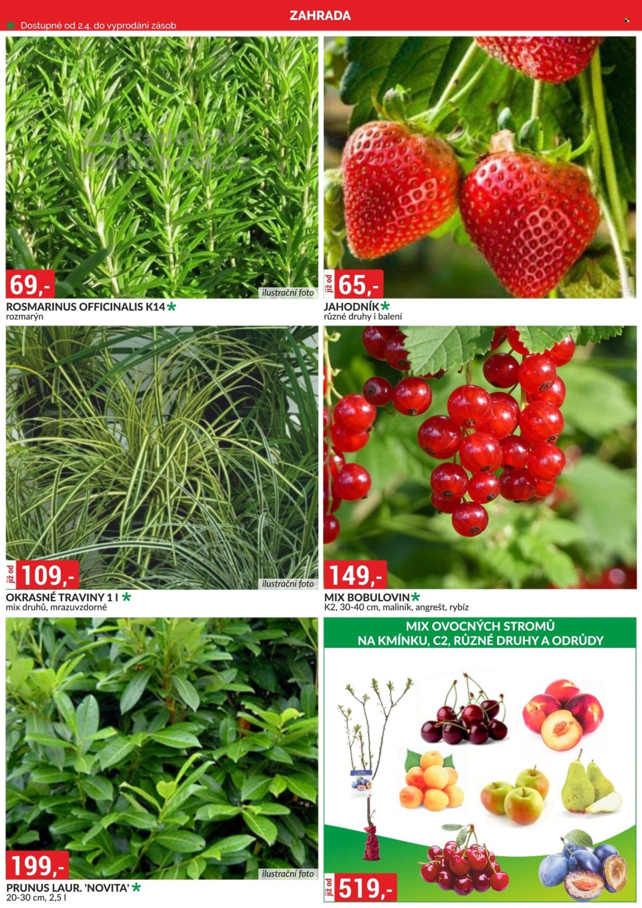 BAUMAX leták - Od středy 1.4.2026 (2026-04-01 - 2026-04-30)