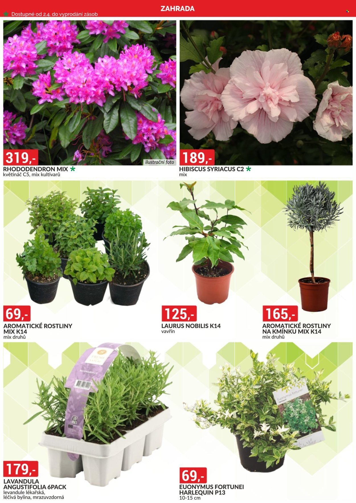 BAUMAX leták - Od středy 1.4.2026 (2026-04-01 - 2026-04-30)