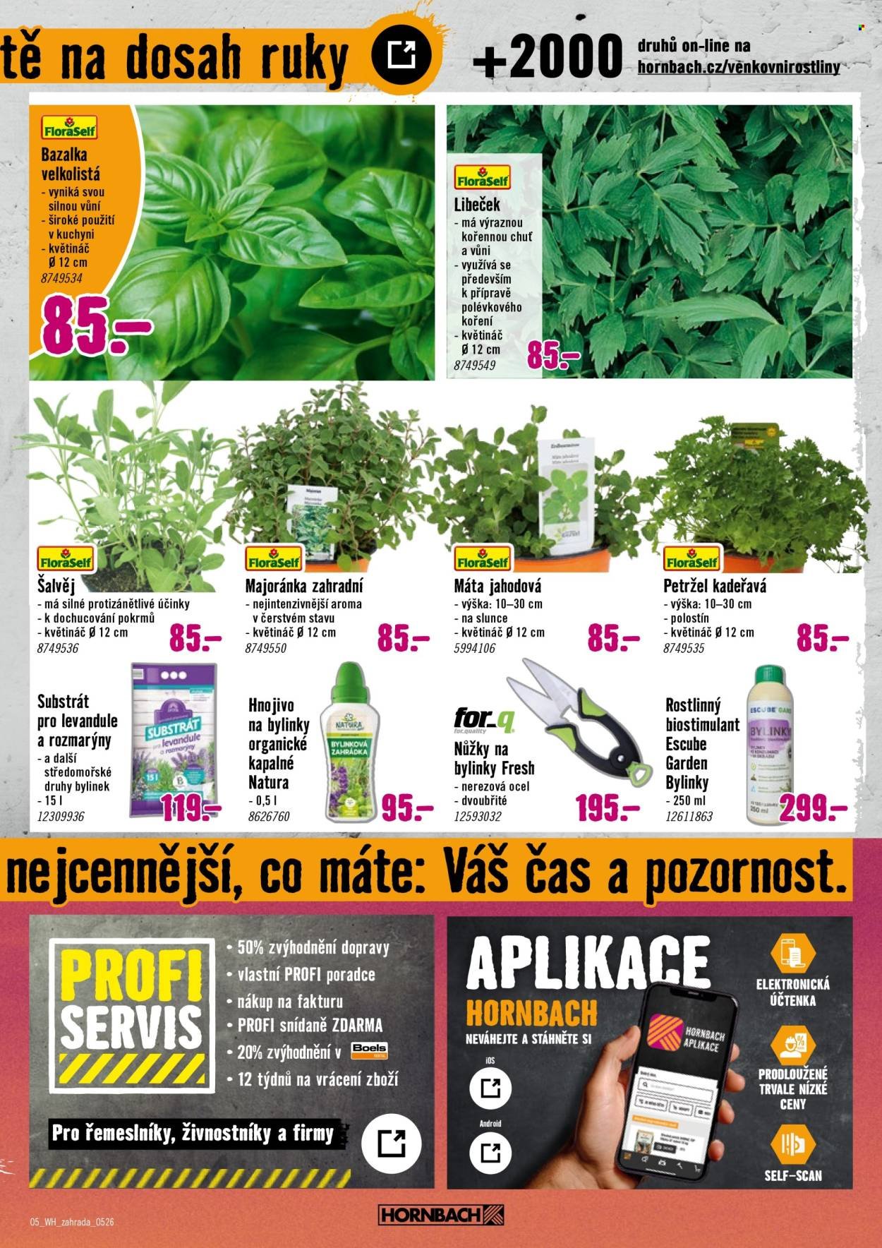 HORNBACH leták - Váš další projekt - Trvalky (2026-05-06 - 2026-05-20)
