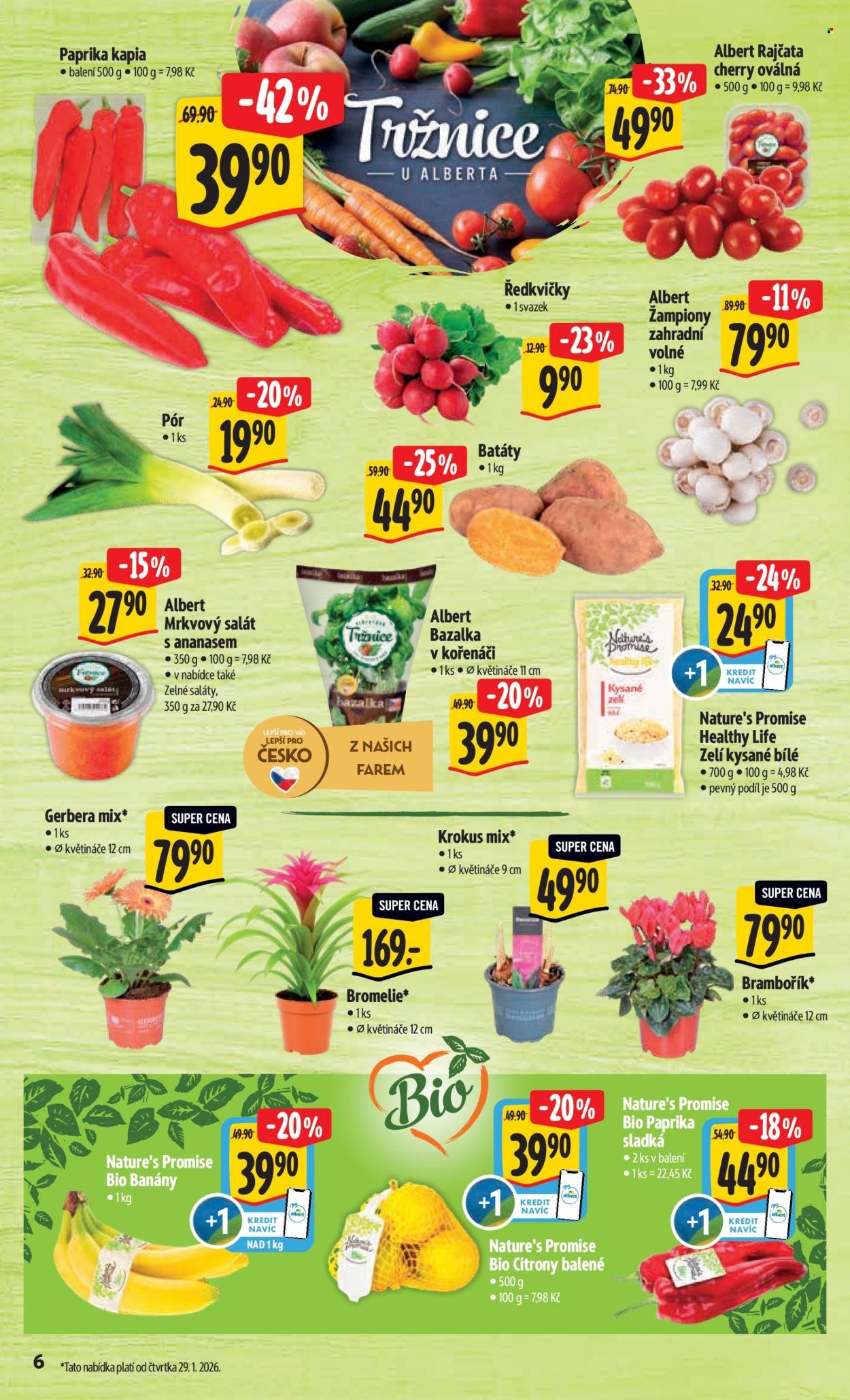 ALBERT leták - Neporazitelné (2026-01-28 - 2026-02-03)