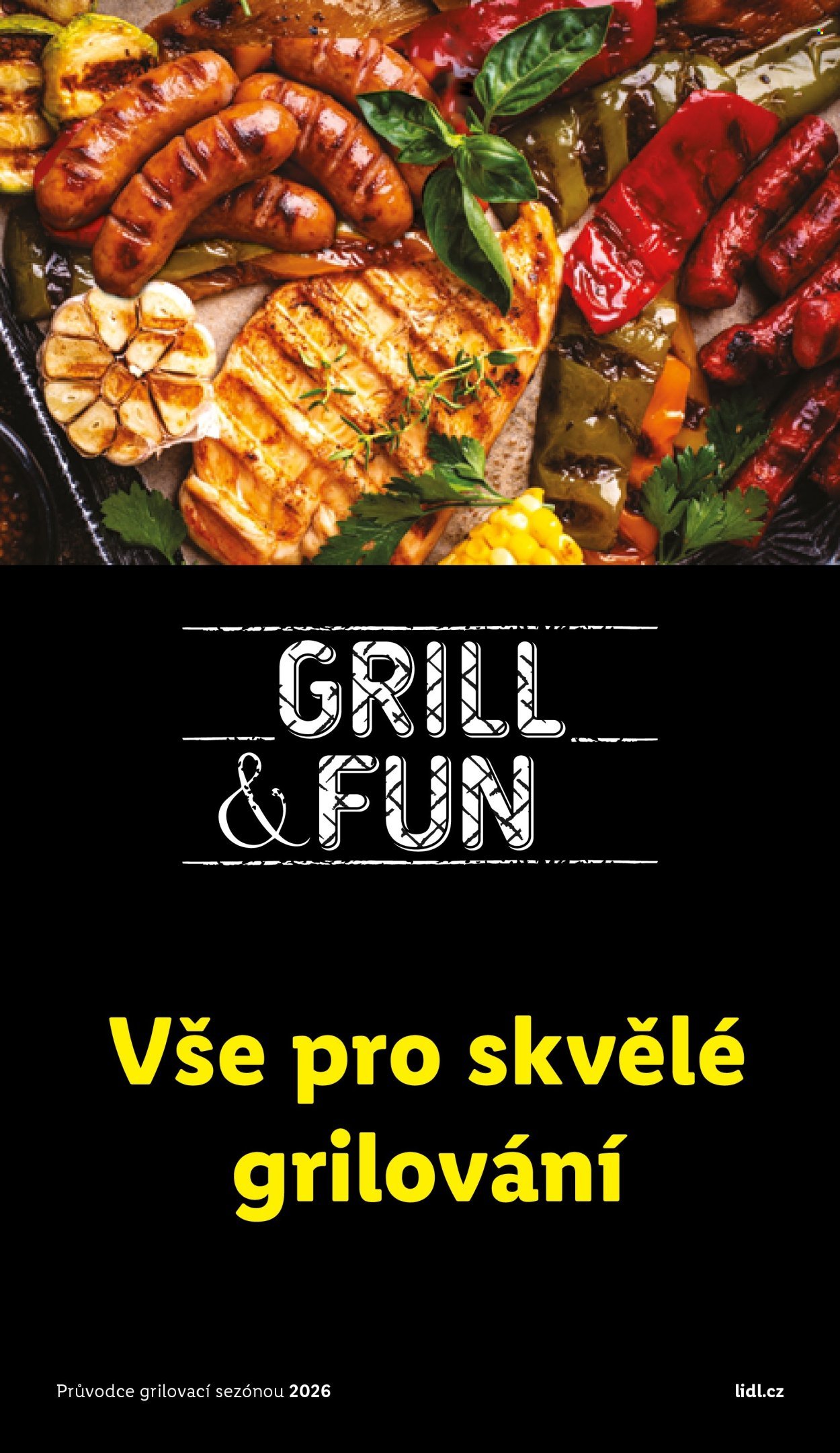 LIDL leták - Vše pro skvělé grilování (2026-05-05)