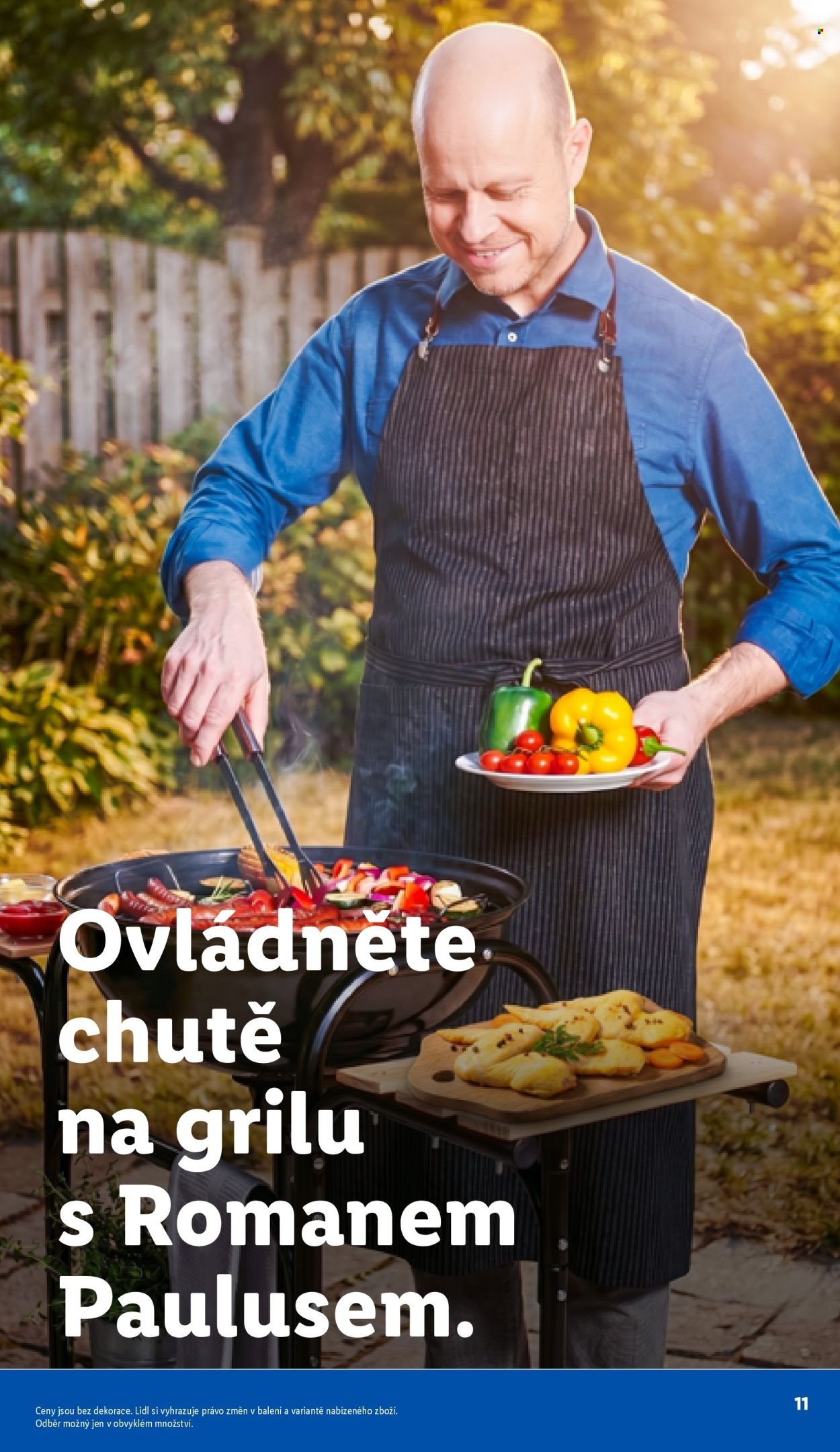 LIDL leták - Vše pro skvělé grilování (2026-05-05)