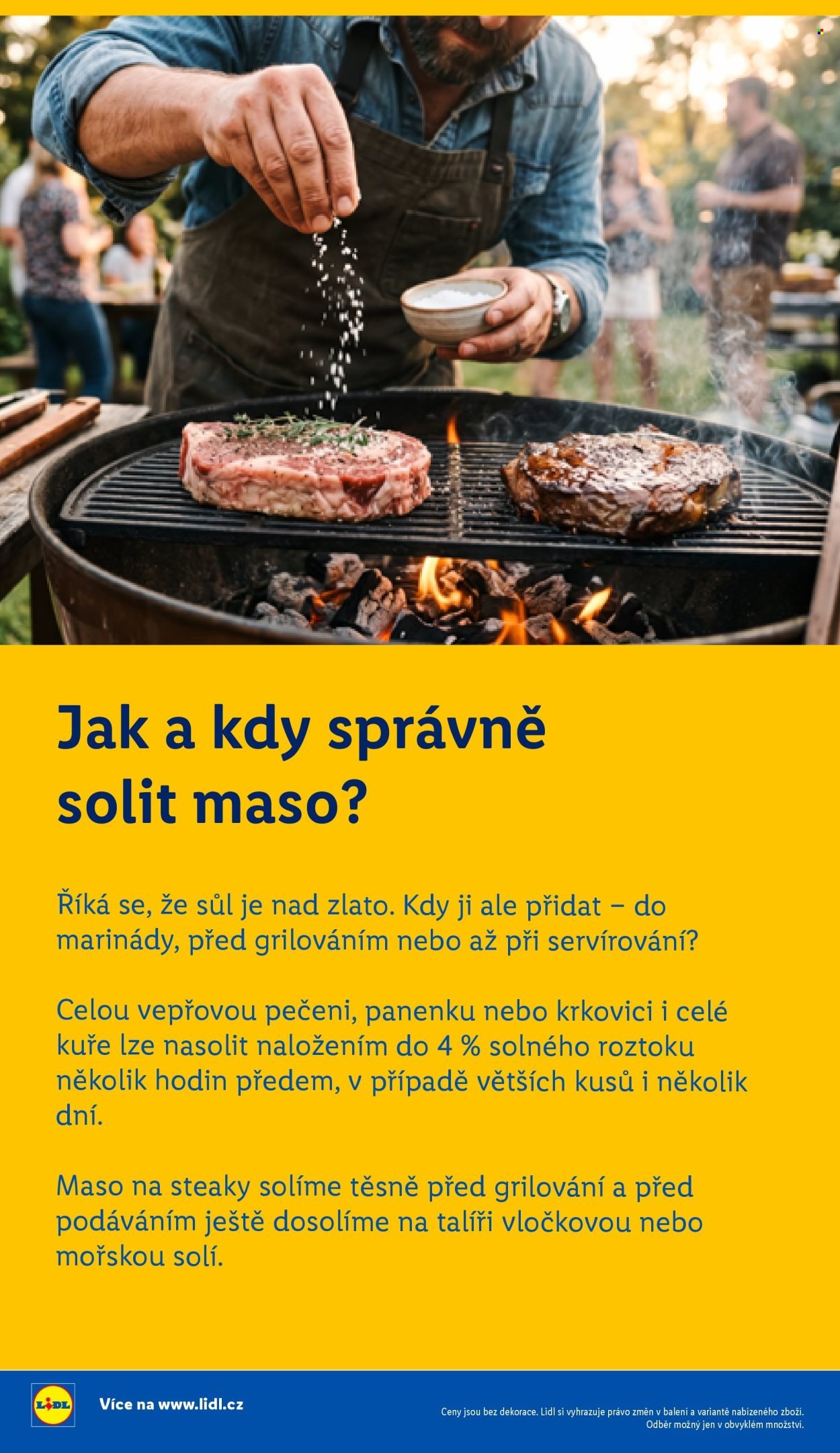 LIDL leták - Vše pro skvělé grilování (2026-05-05)