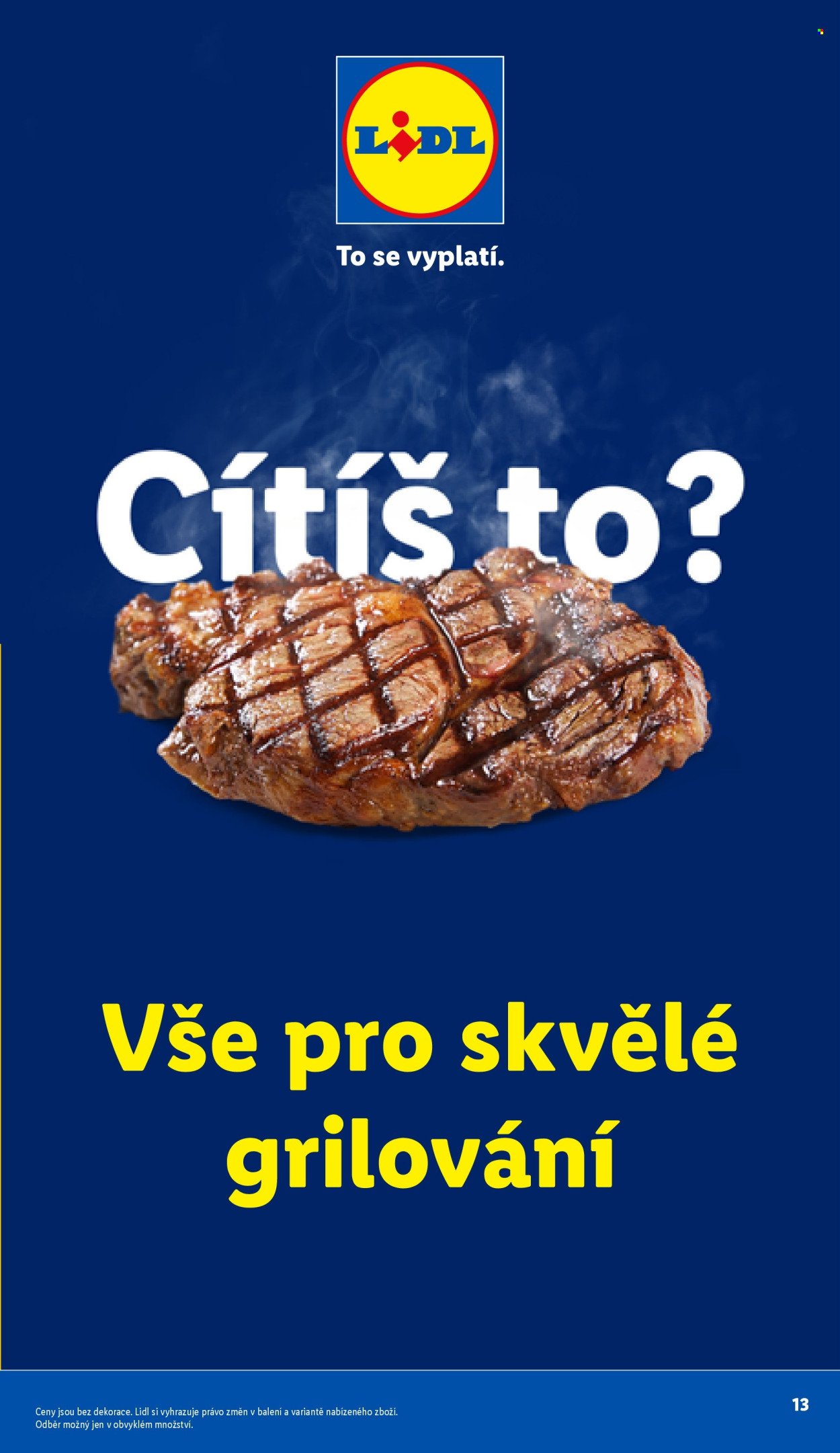 LIDL leták - Vše pro skvělé grilování (2026-05-05)