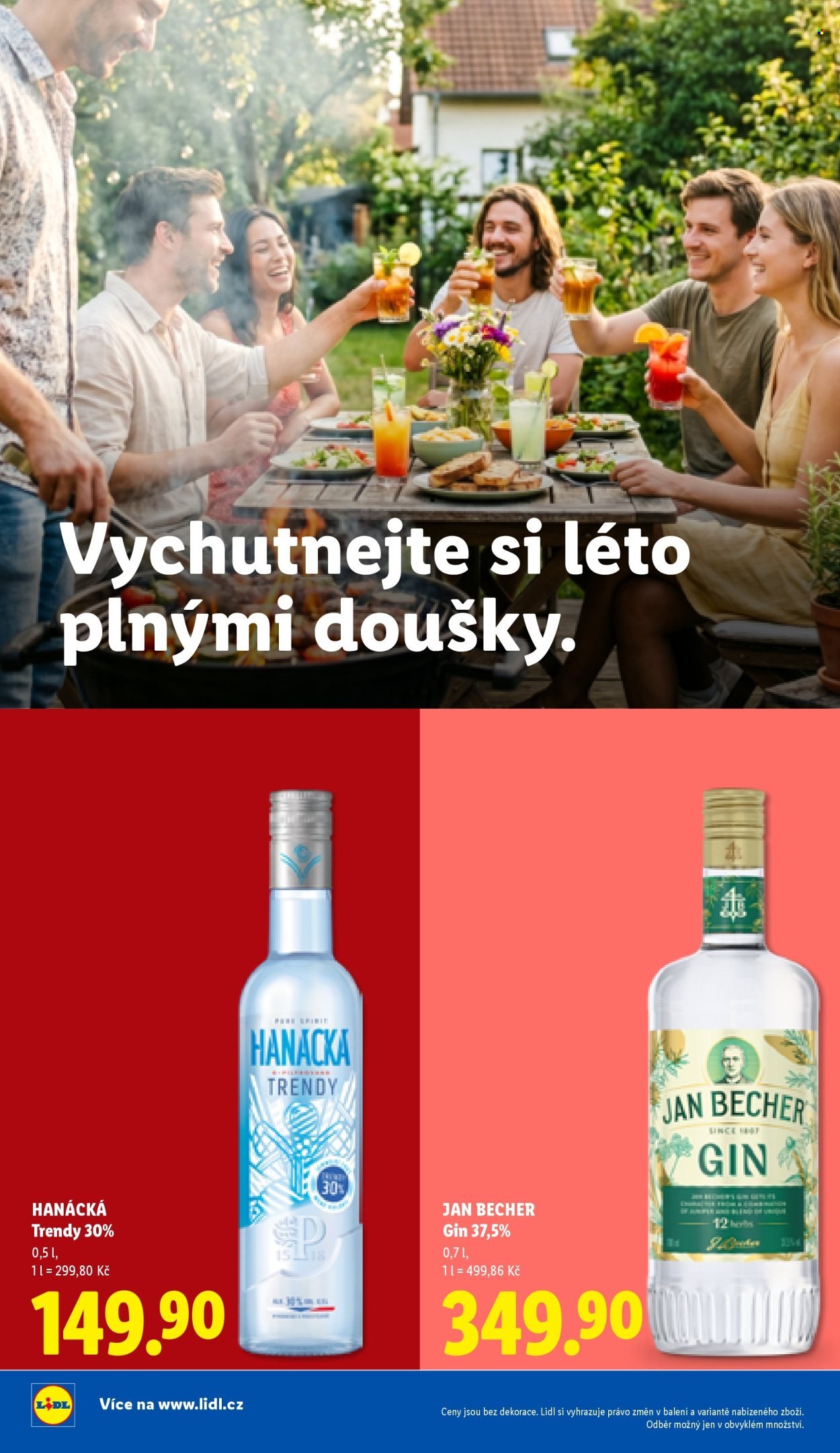 LIDL leták - Vše pro skvělé grilování (2026-05-05)