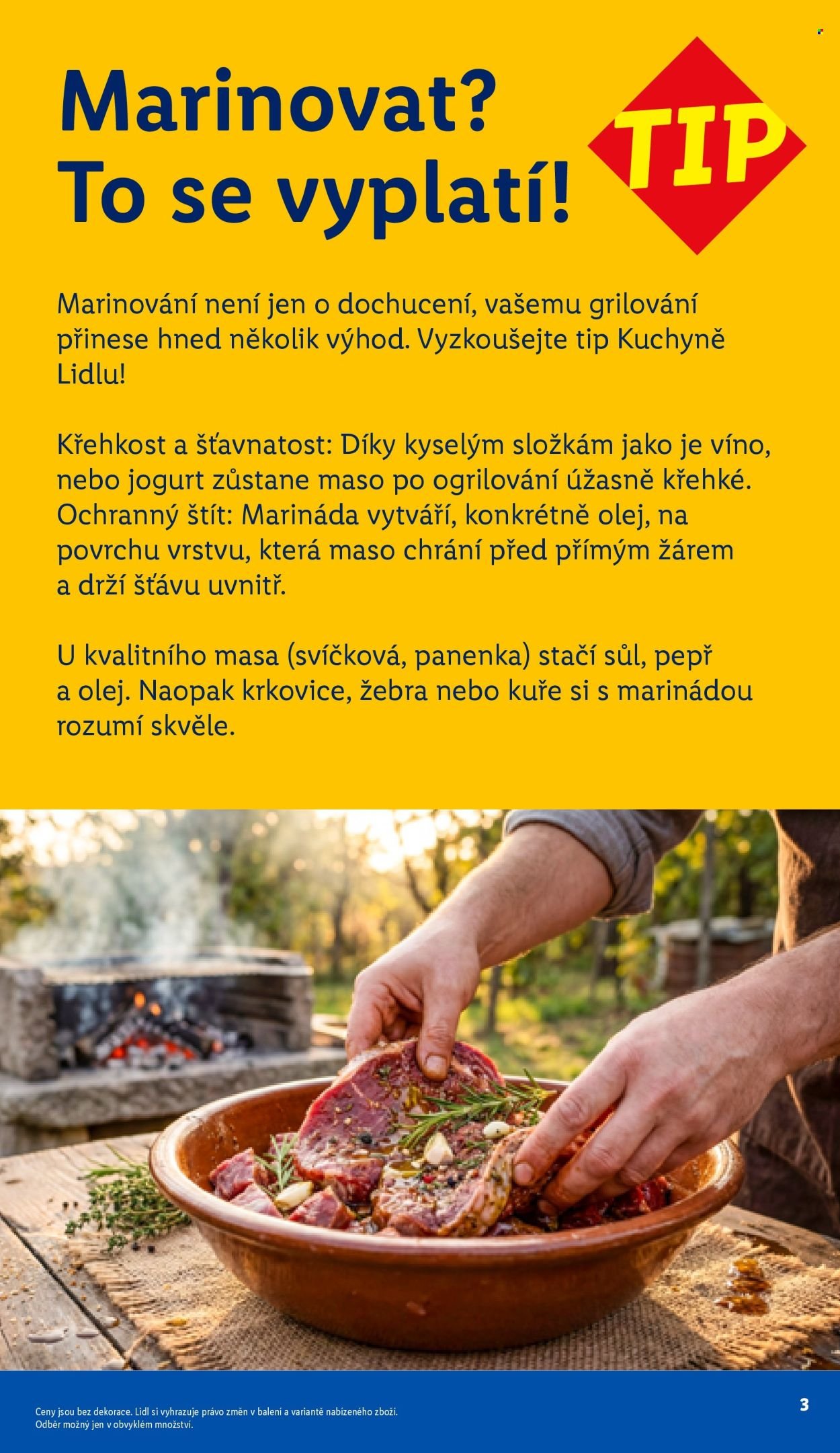 LIDL leták - Vše pro skvělé grilování (2026-05-05)
