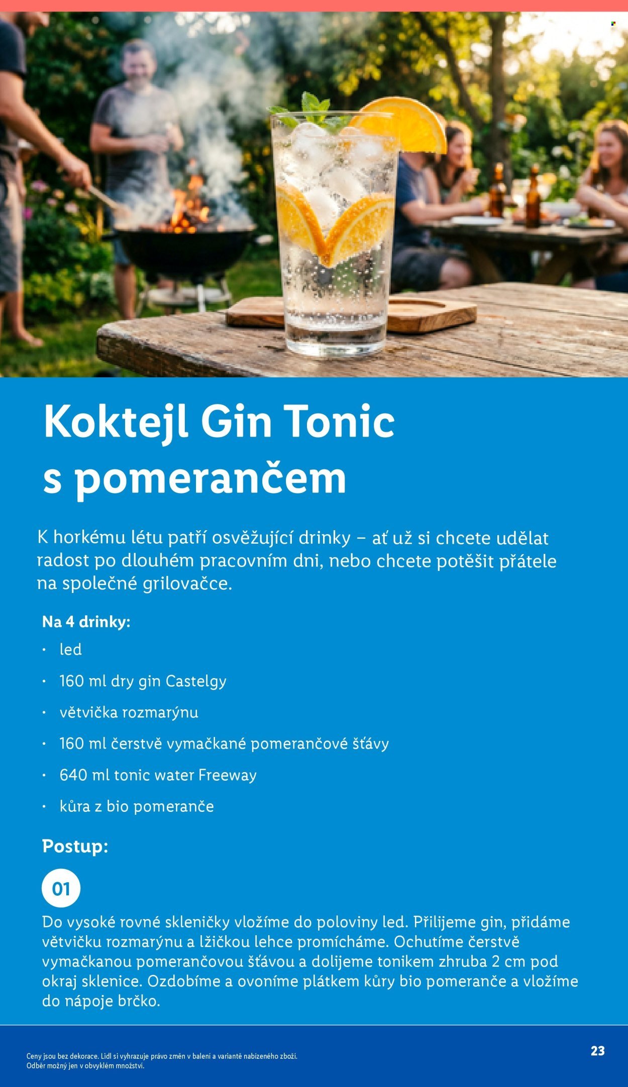 LIDL leták - Vše pro skvělé grilování (2026-05-05)