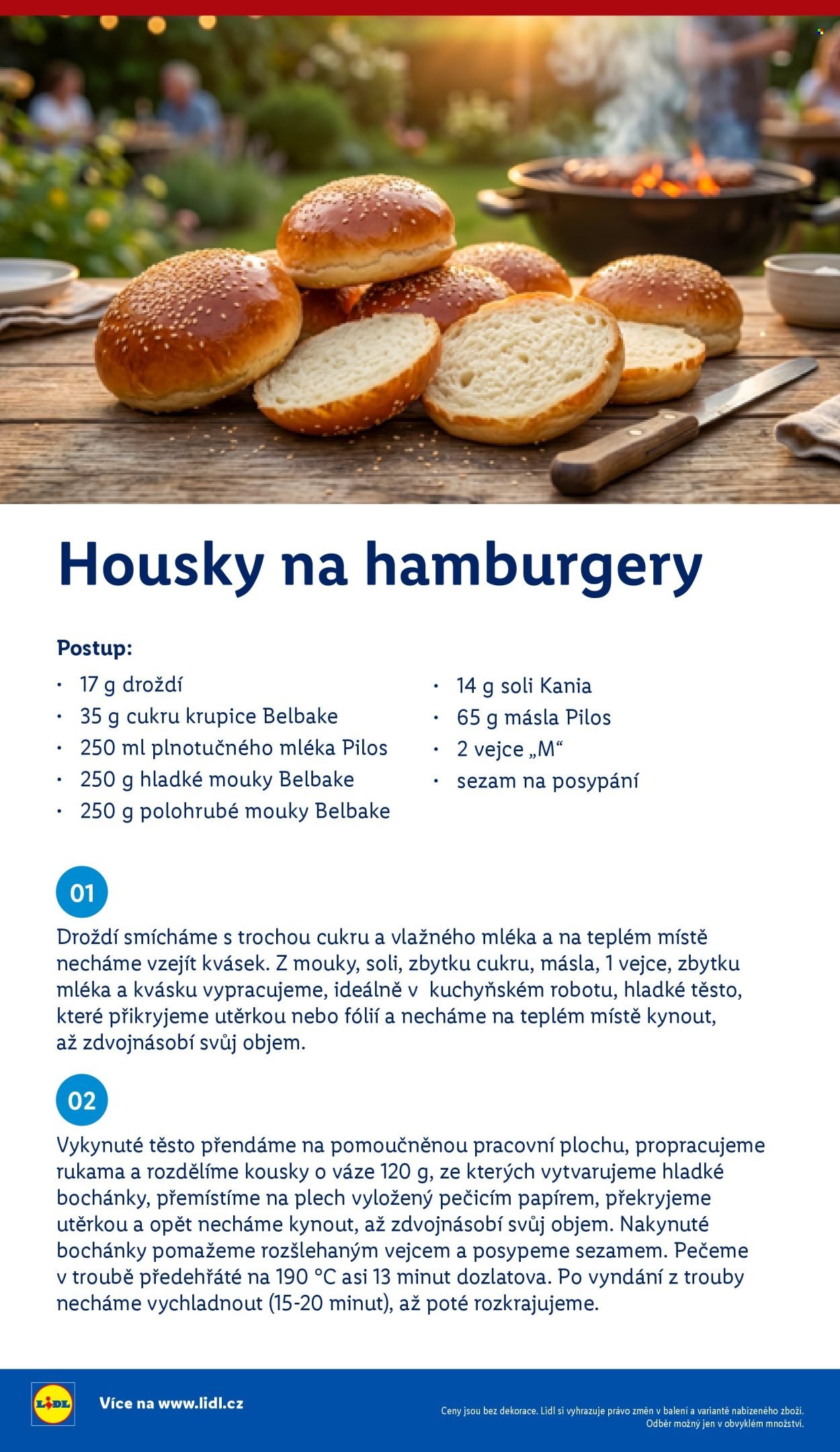 LIDL leták - Vše pro skvělé grilování (2026-05-05)
