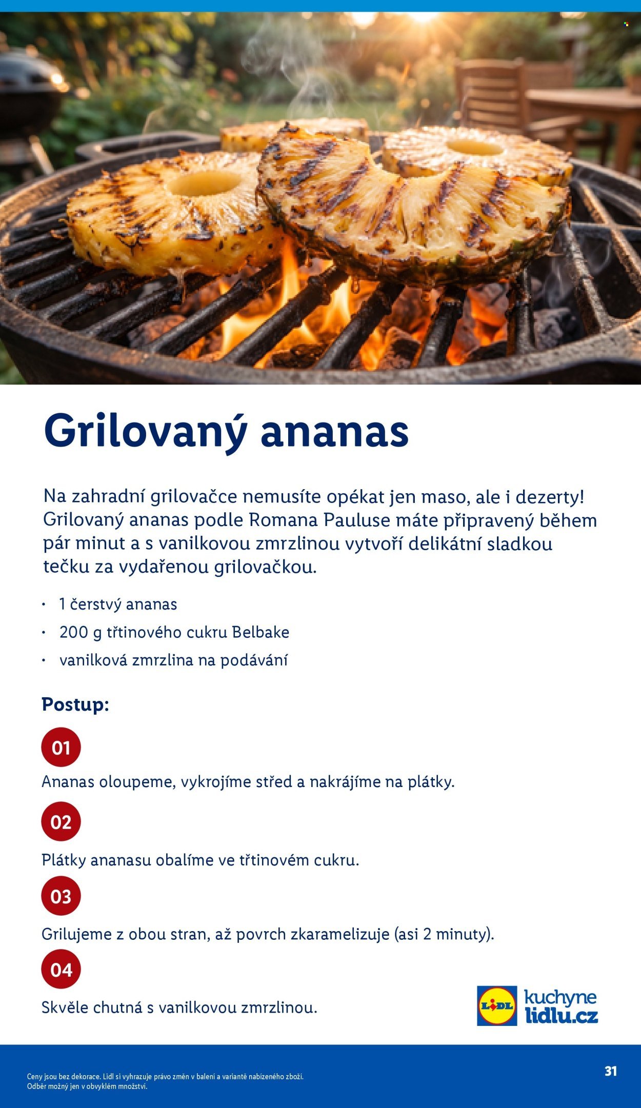 LIDL leták - Vše pro skvělé grilování (2026-05-05)